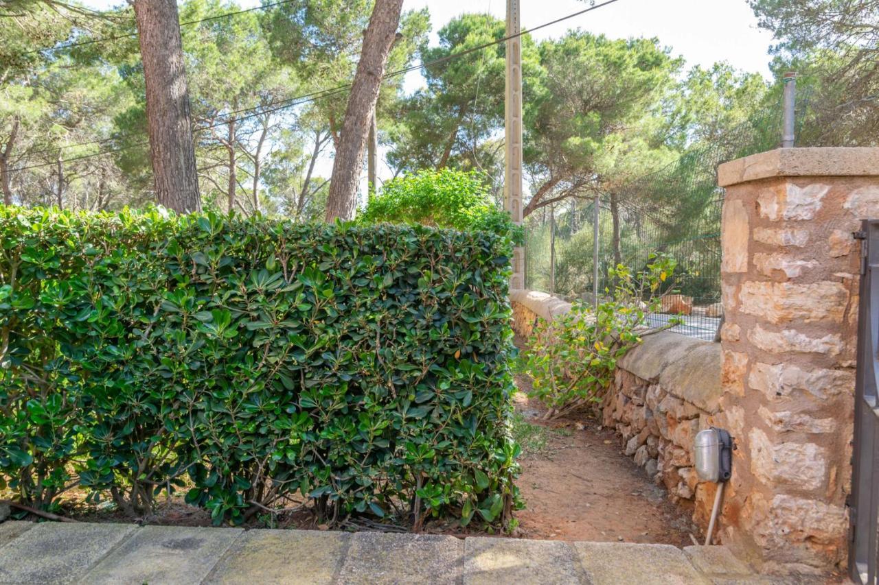 Barca Trencada Cala Mondragó