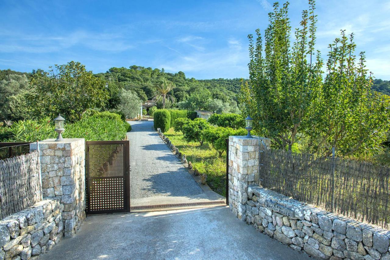 Busqueroles By * Pollensa