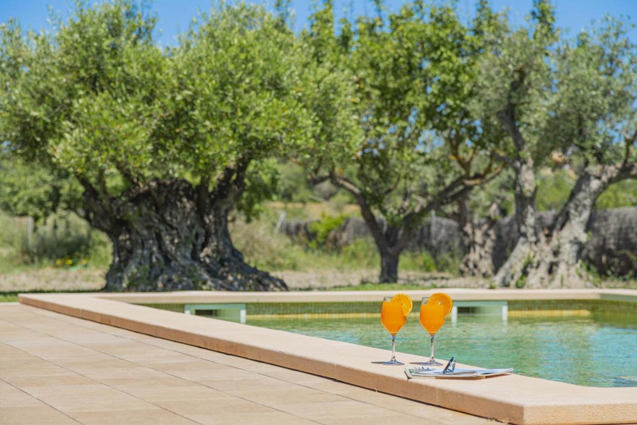 Segue Villa Alcúdia