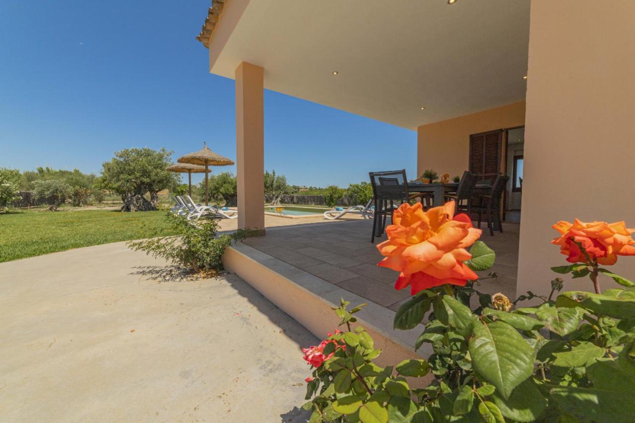 Segue Villa Alcúdia