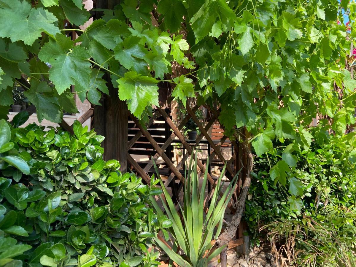 Sa Canova Agroturismo