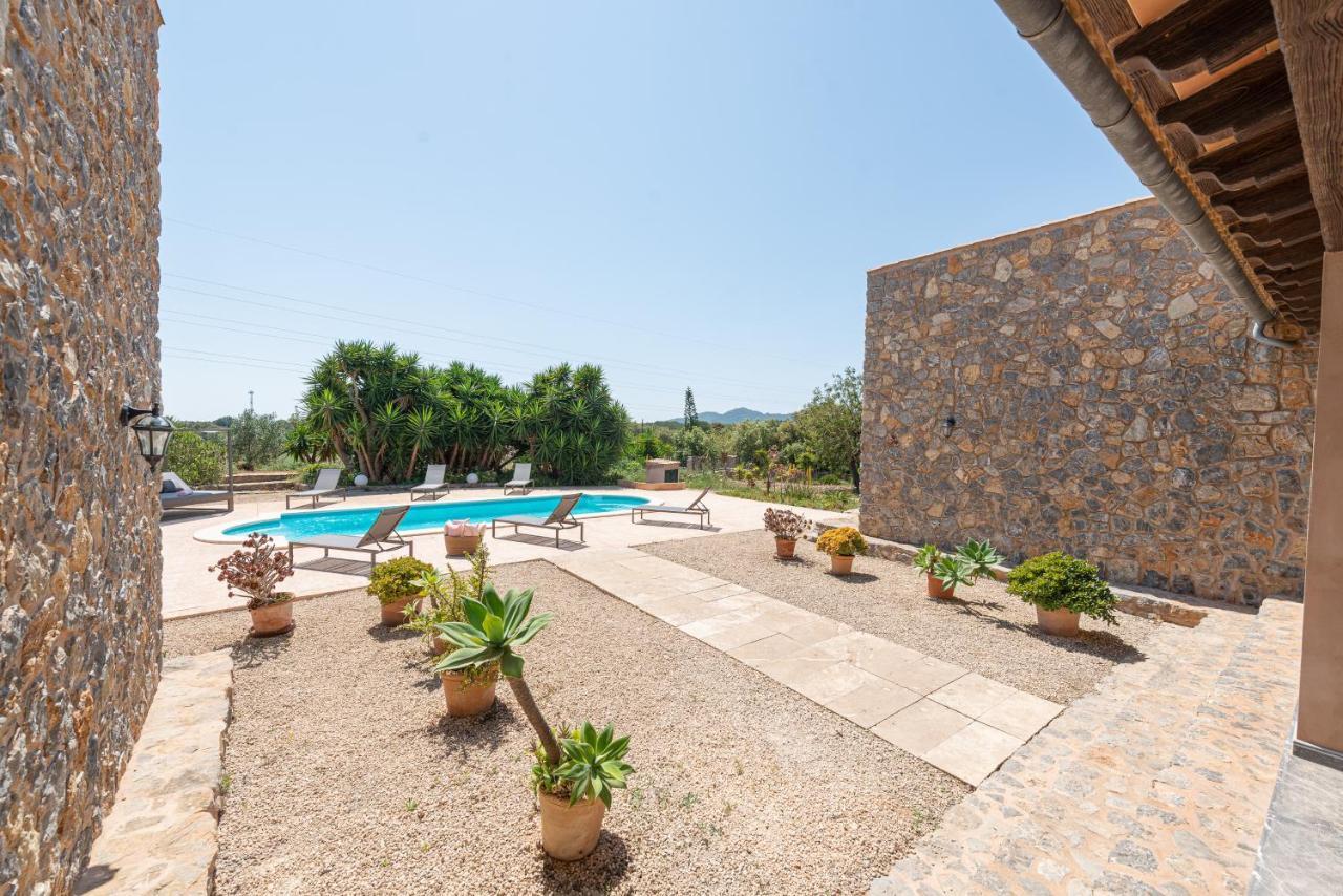 Bellpuig Arta