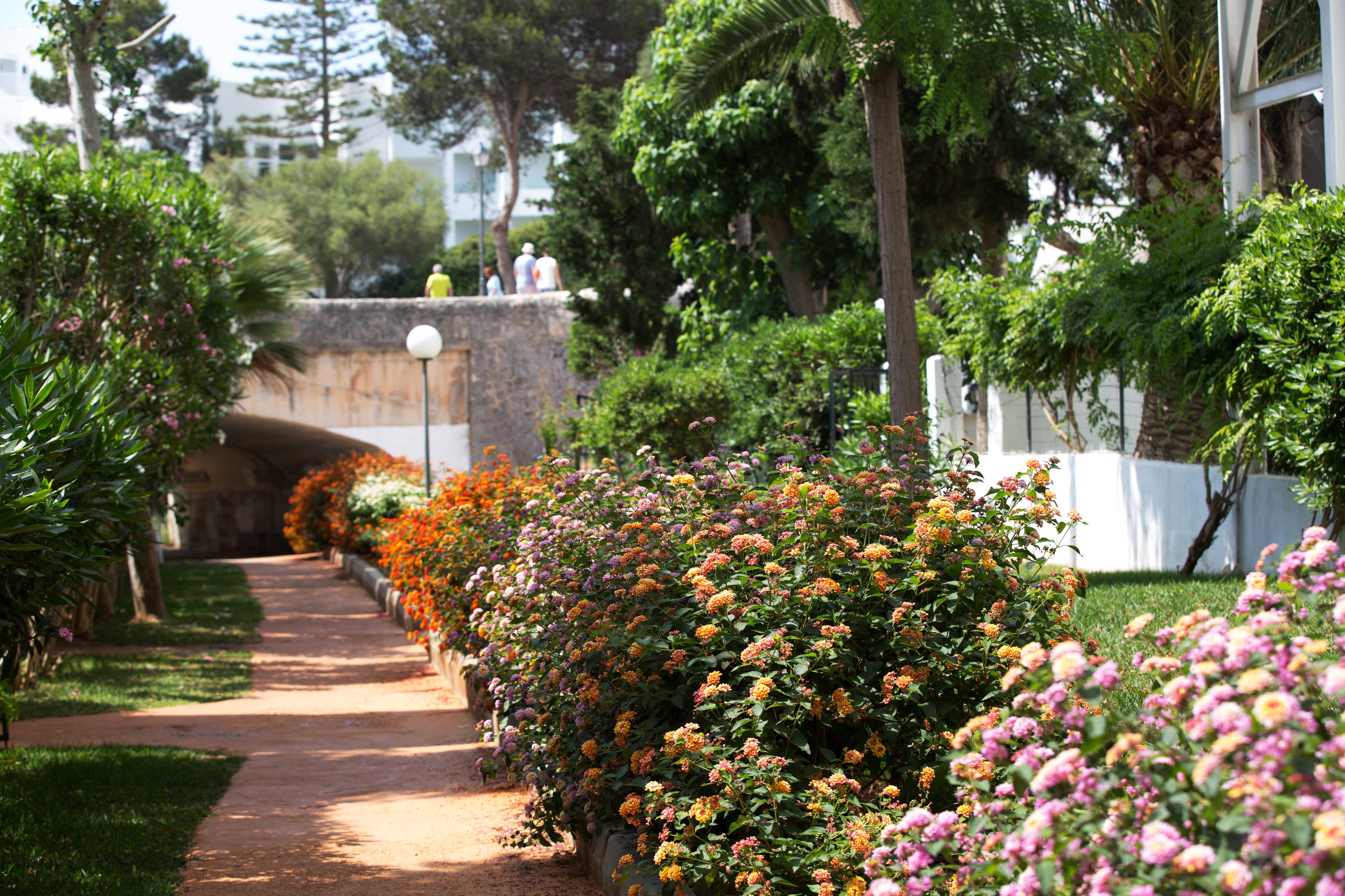 Hotel Gavimar Cala Gran Hotel&apartments