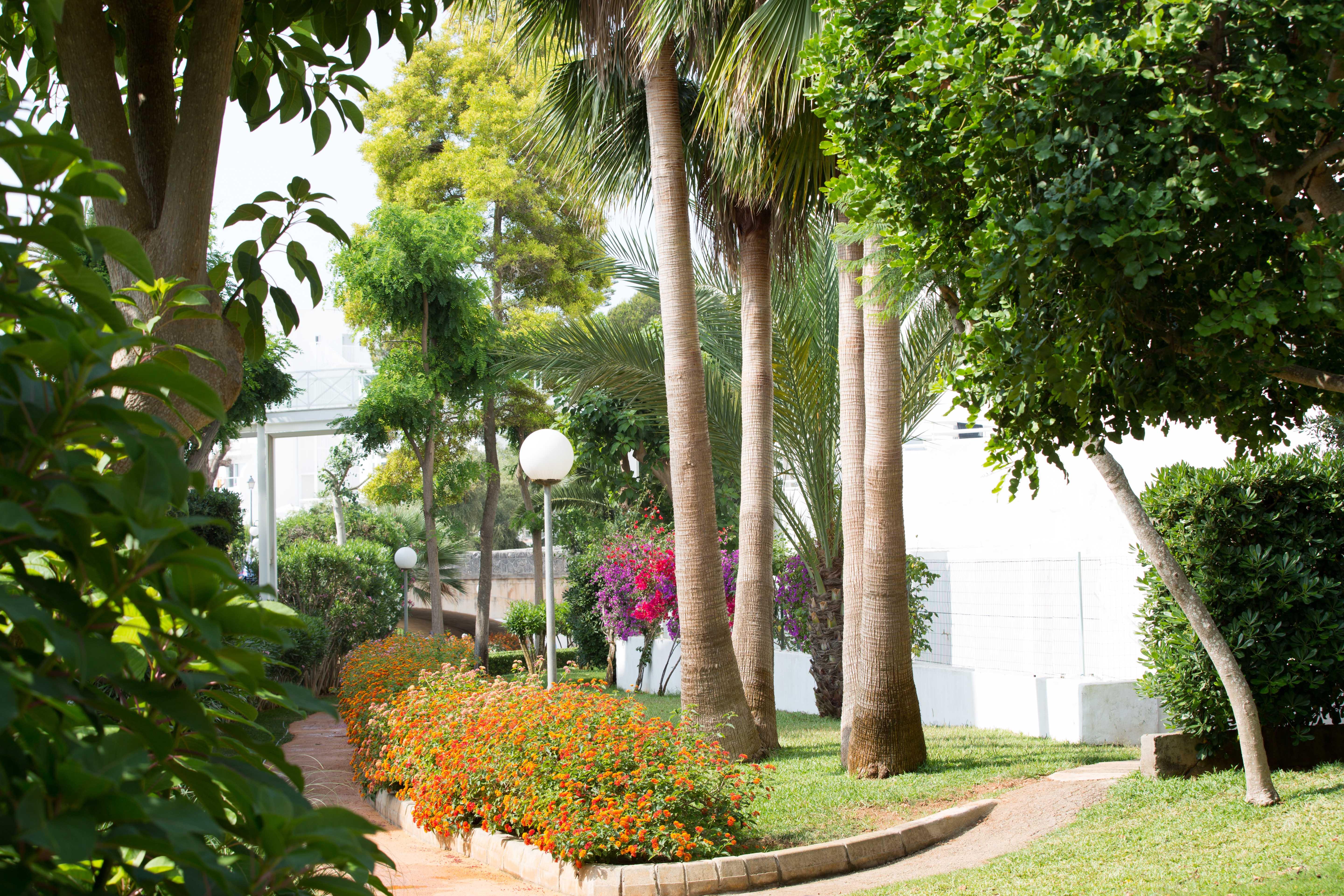 Gavimar Cala Gran Hotel&apartments Hotel