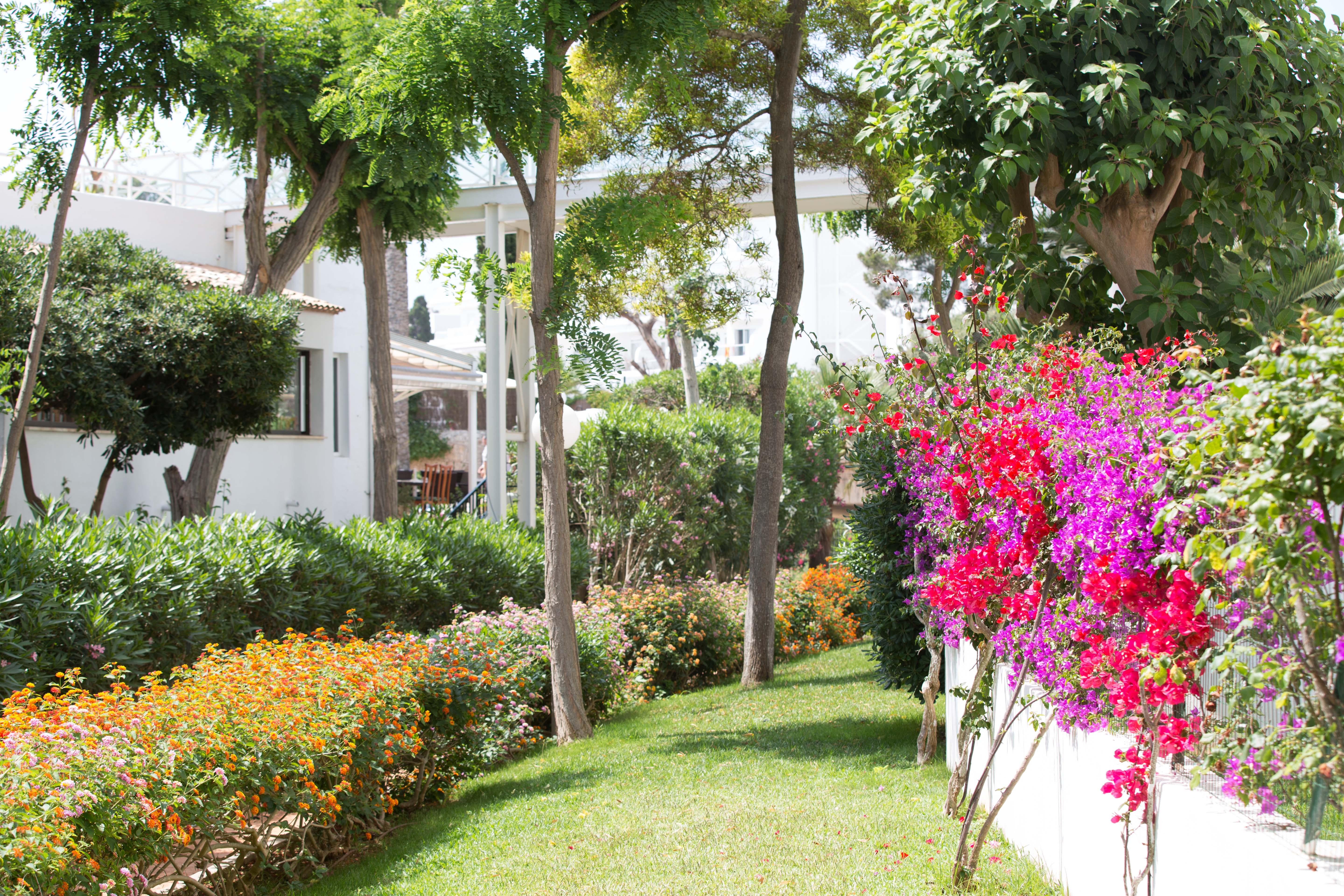 Gavimar Cala Gran Hotel&apartments Hotel