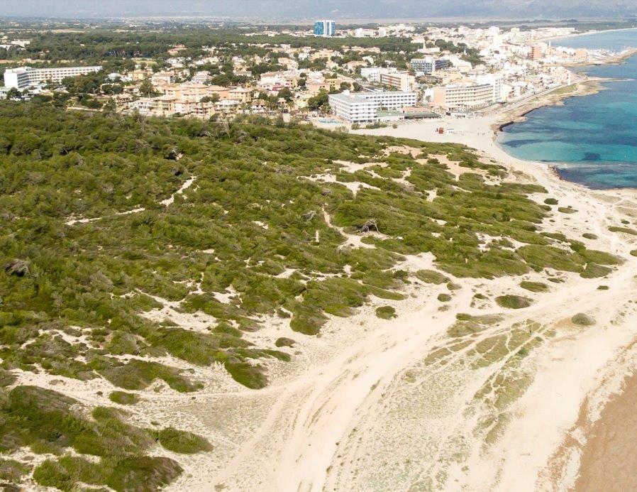 Hotel Son Bauló Can Picafort (Mallorca)