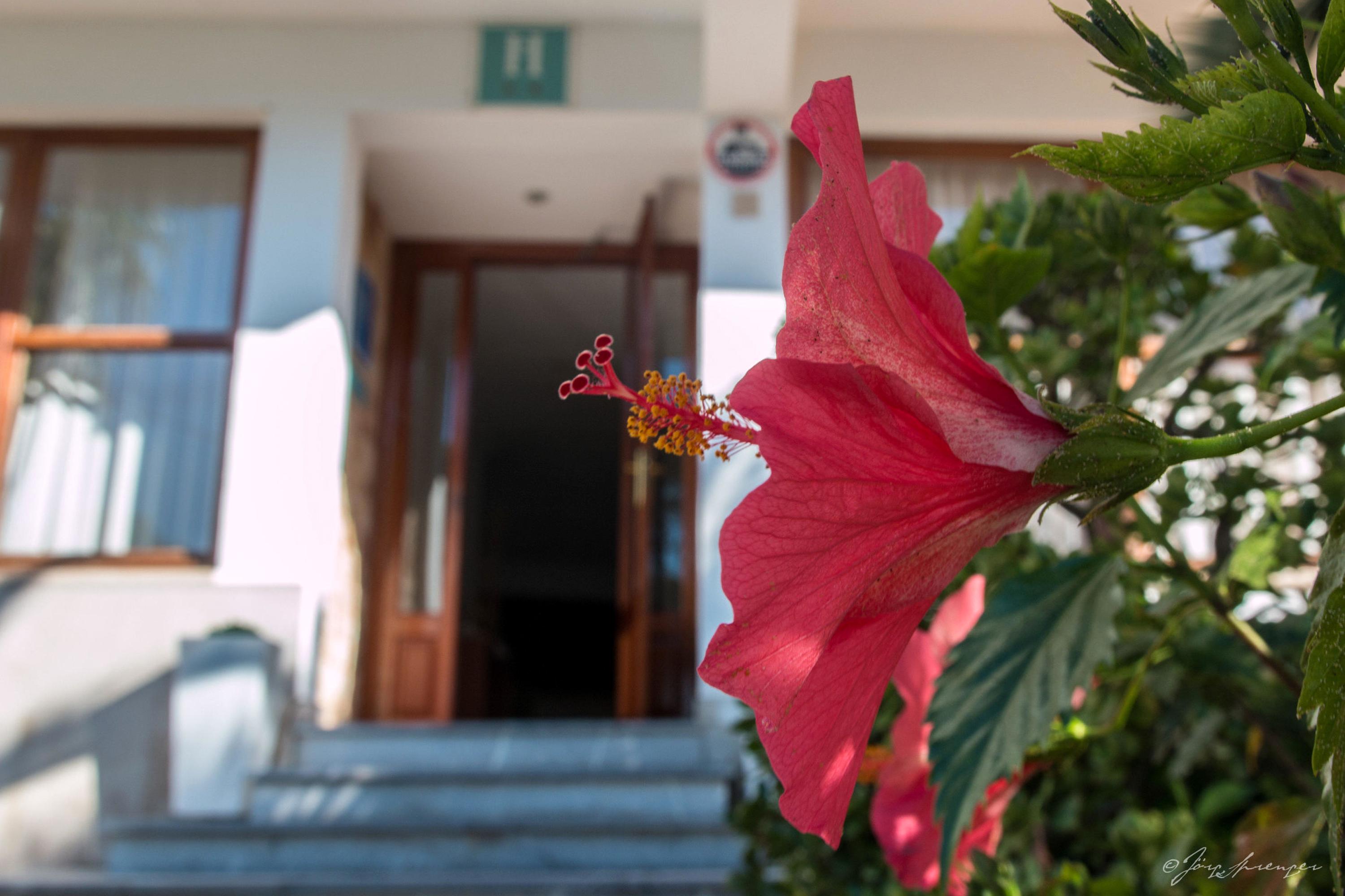 Hotel Santanyi Port