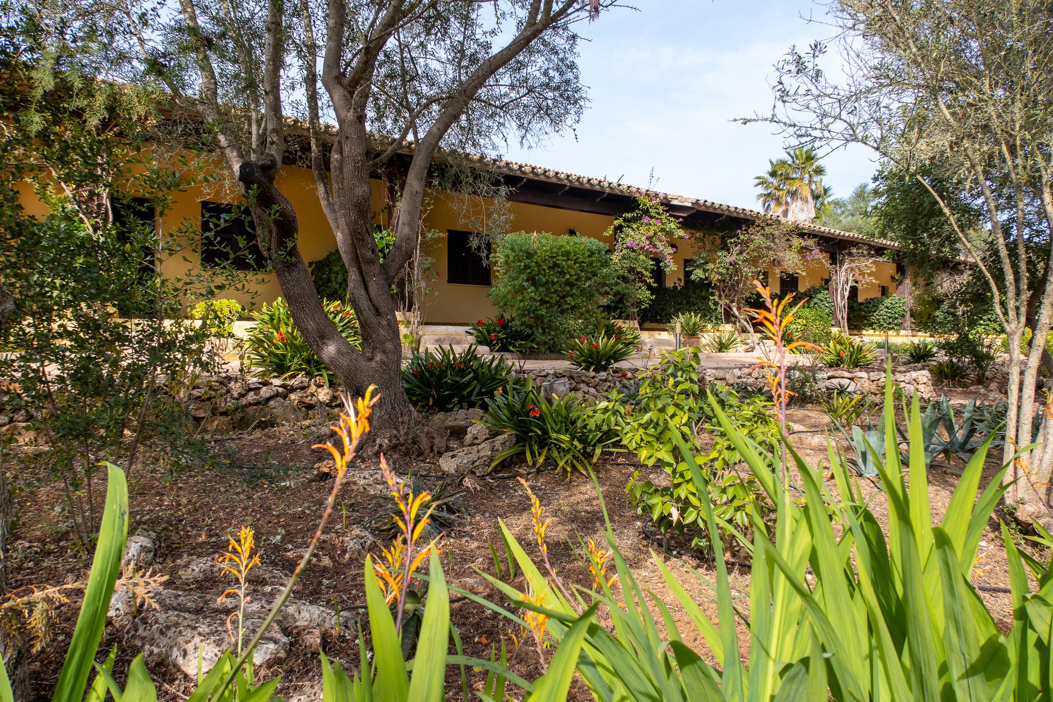 Rural Predio Son Serra Hotel