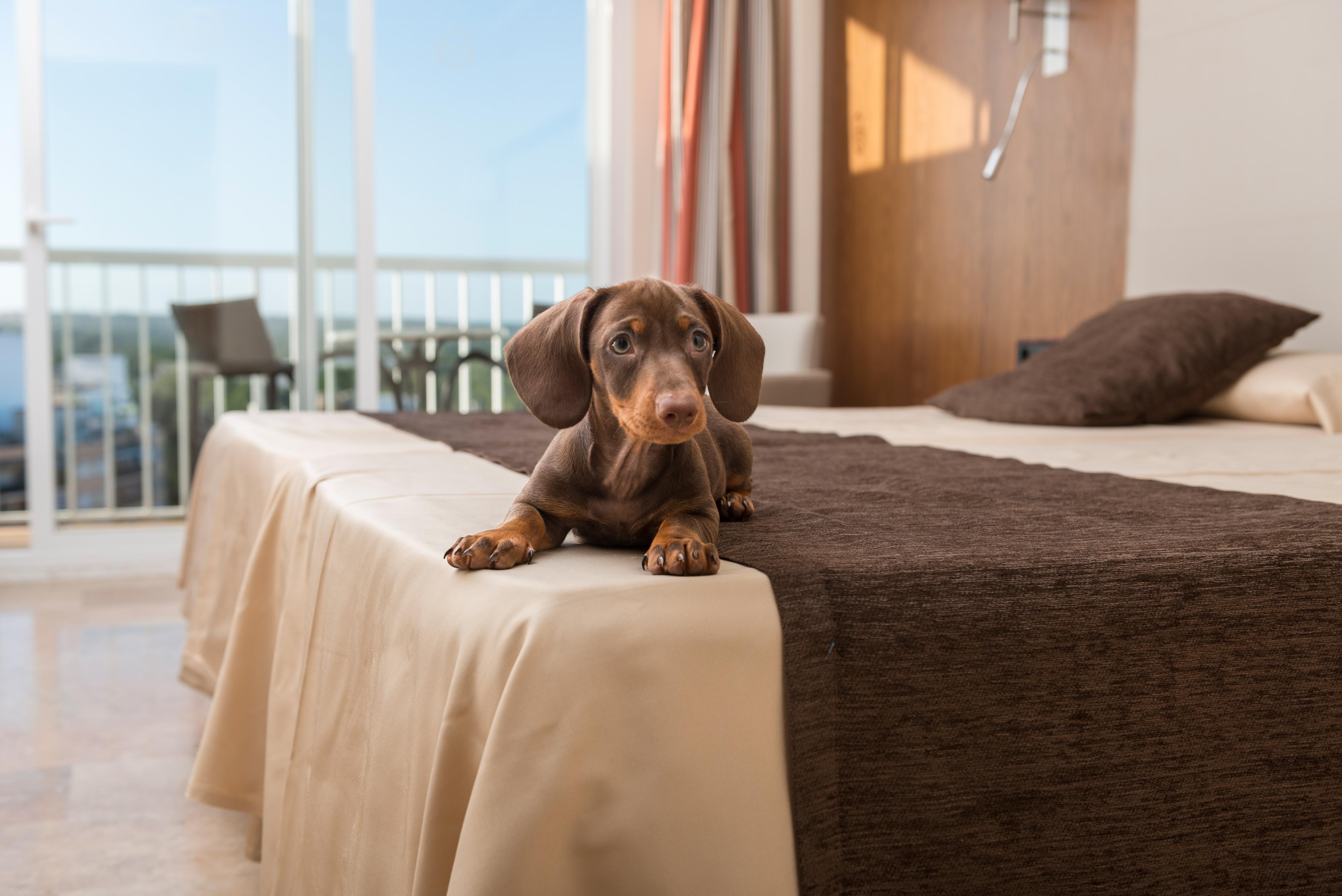 Torre Azul & - Adults Only Hotel