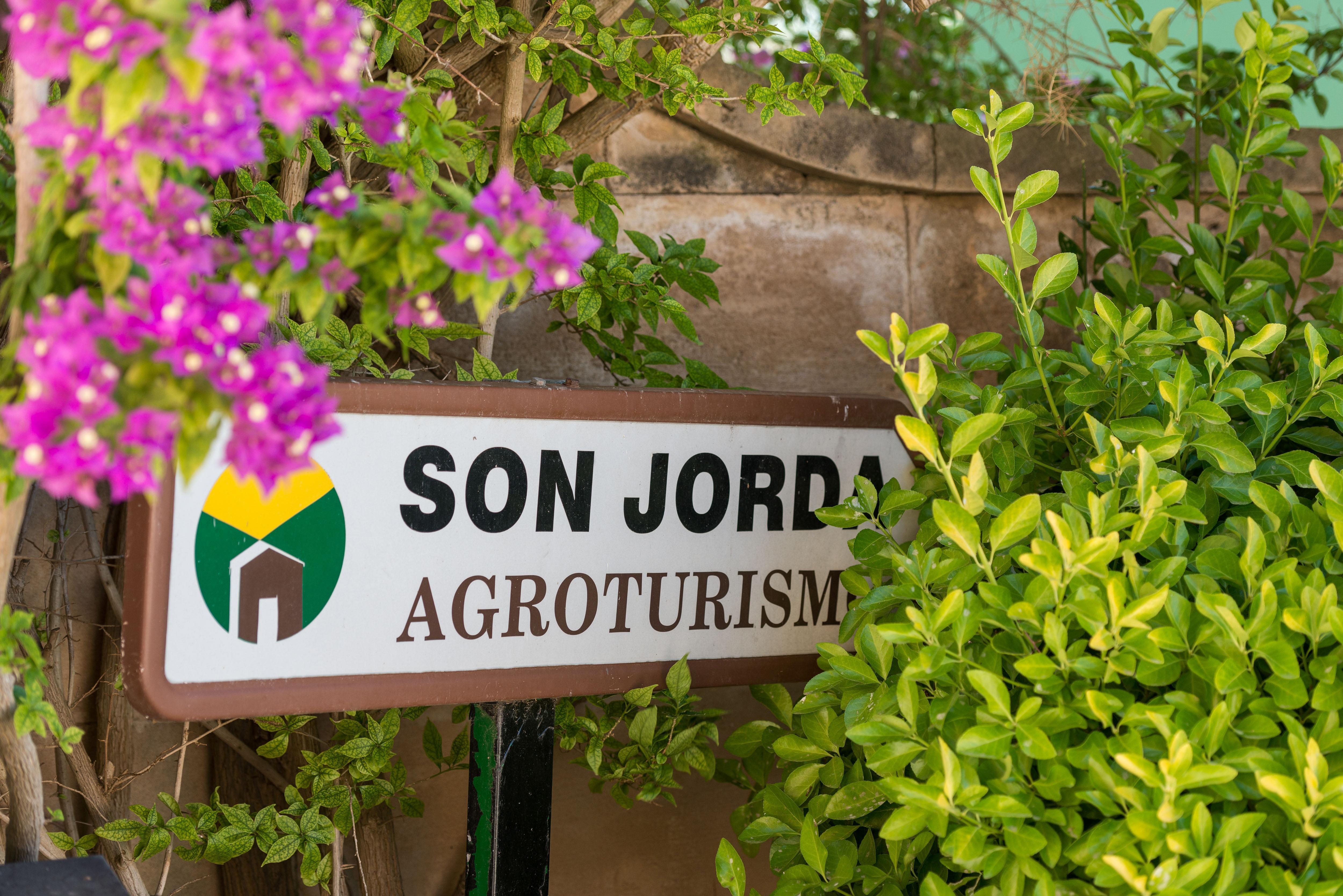 Petit Rural Son Jordá *