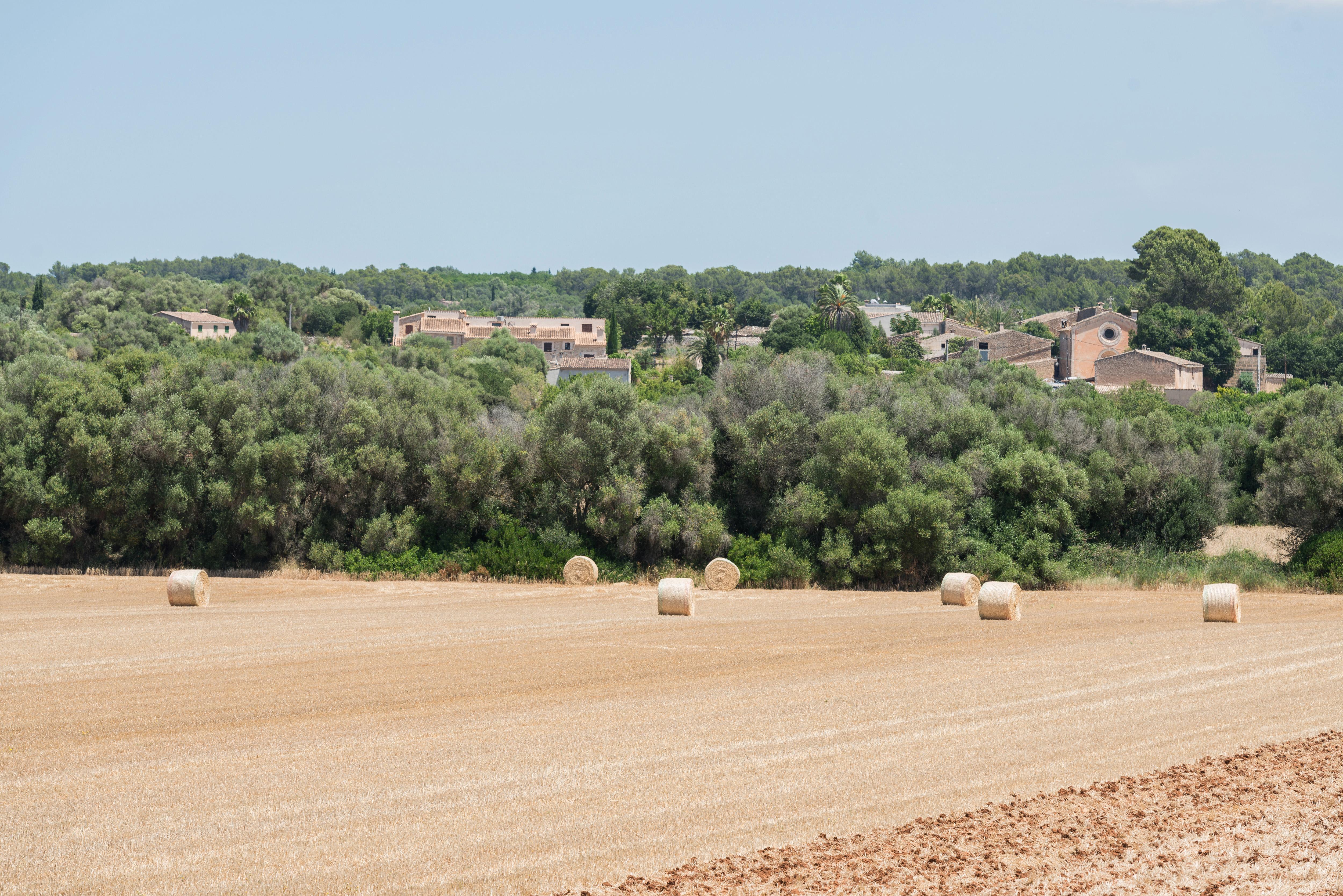 Petit Rural Son Jordá *