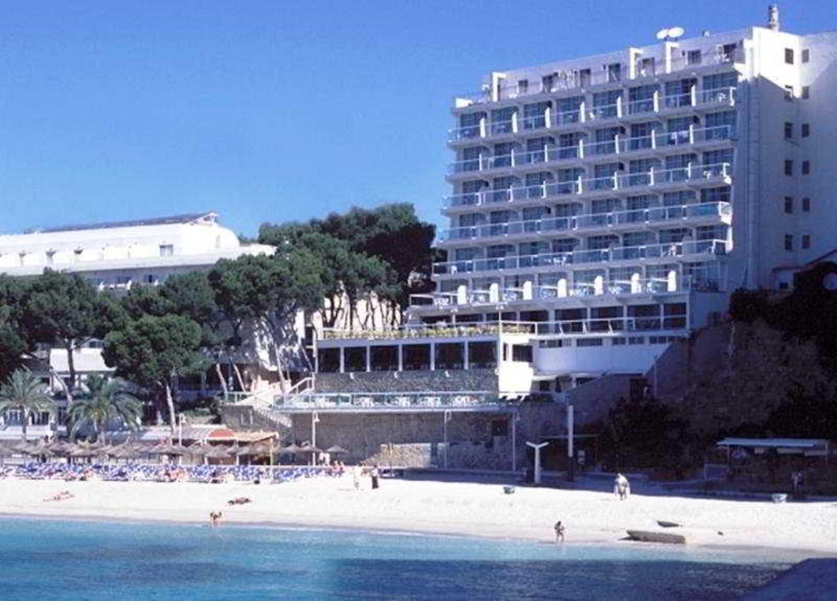 Flamboyan Caribe & Hotel Magaluf (Mallorca)