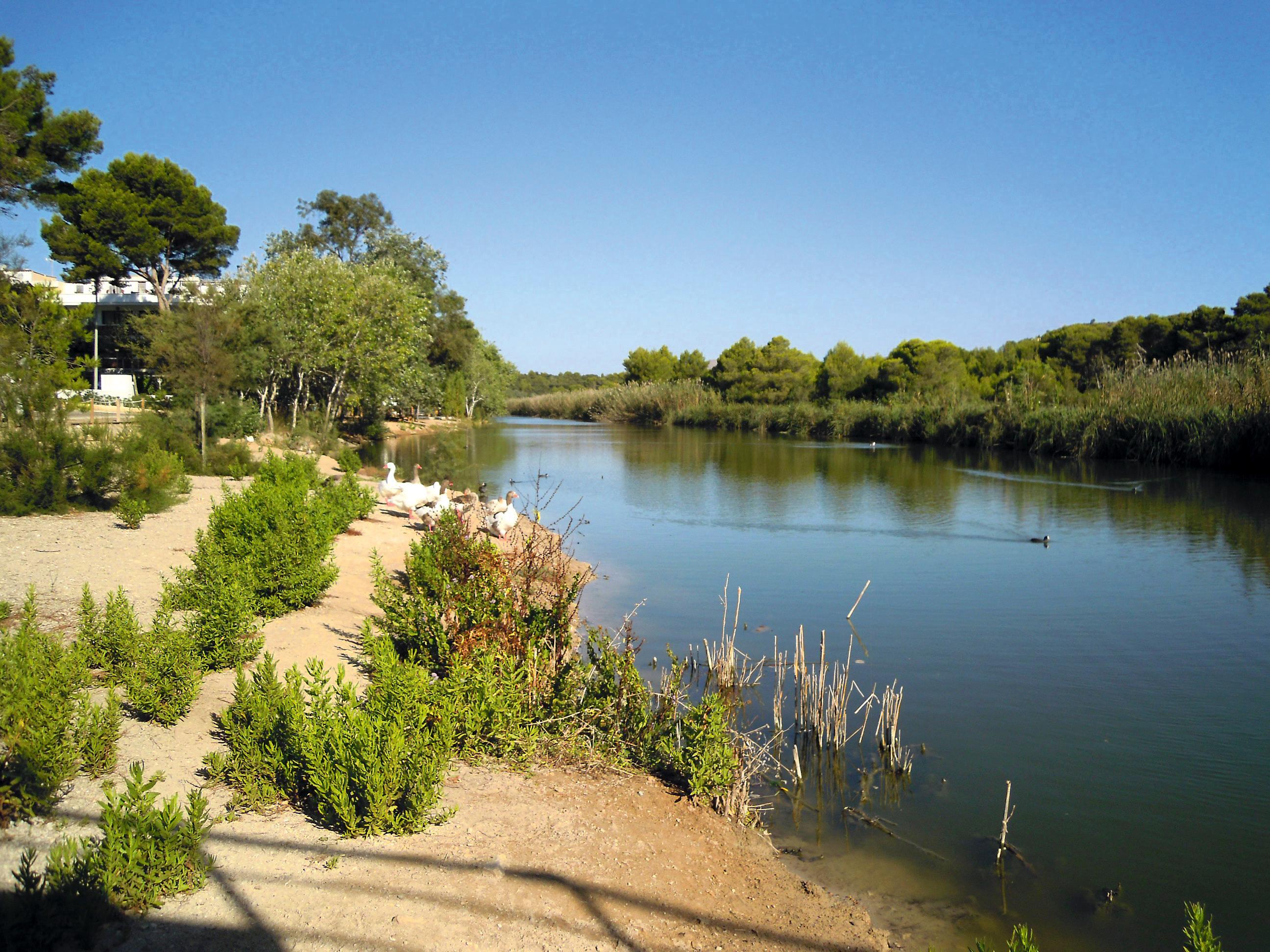 Universal Castell Royal Canyamel (Mallorca)