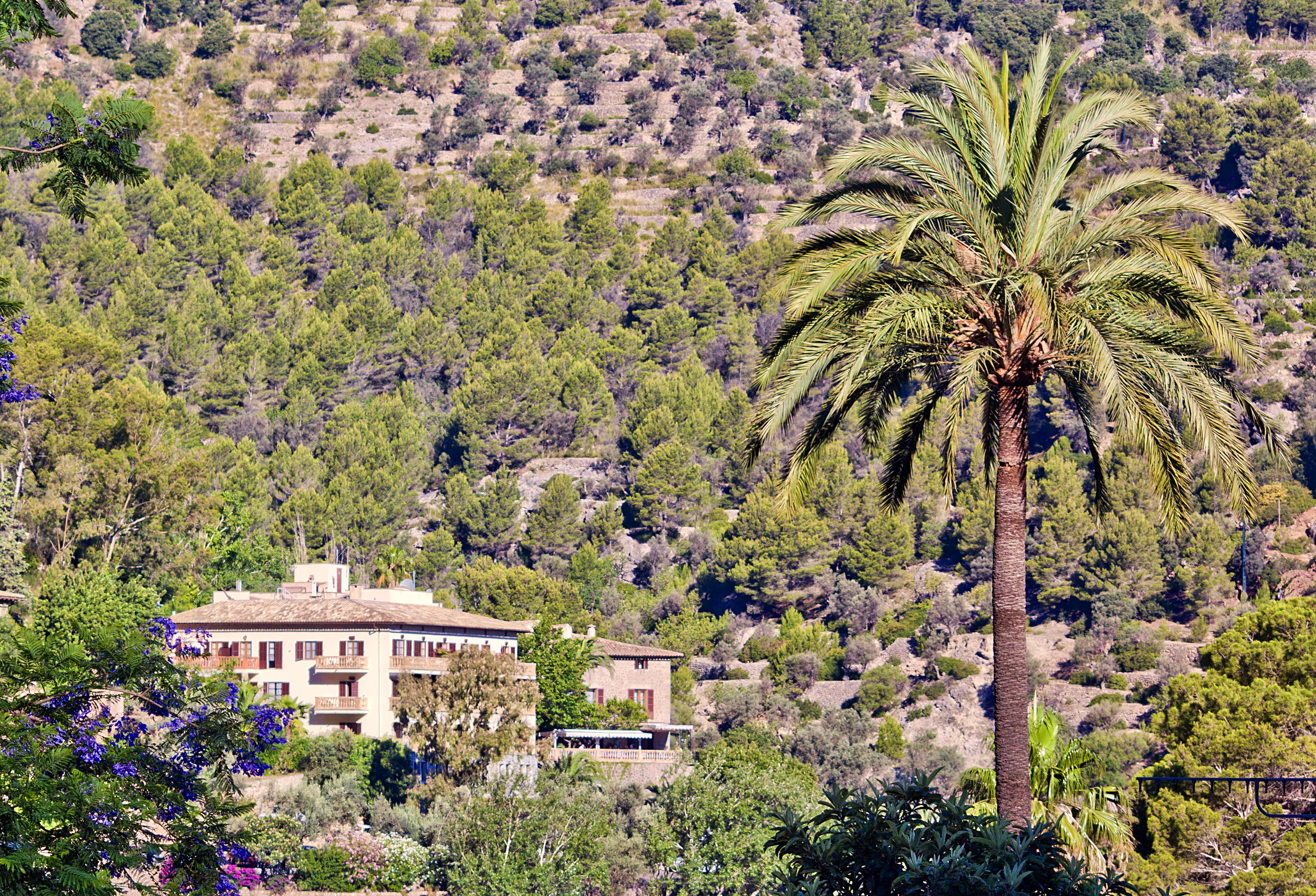 Hotel Es Moli 4*