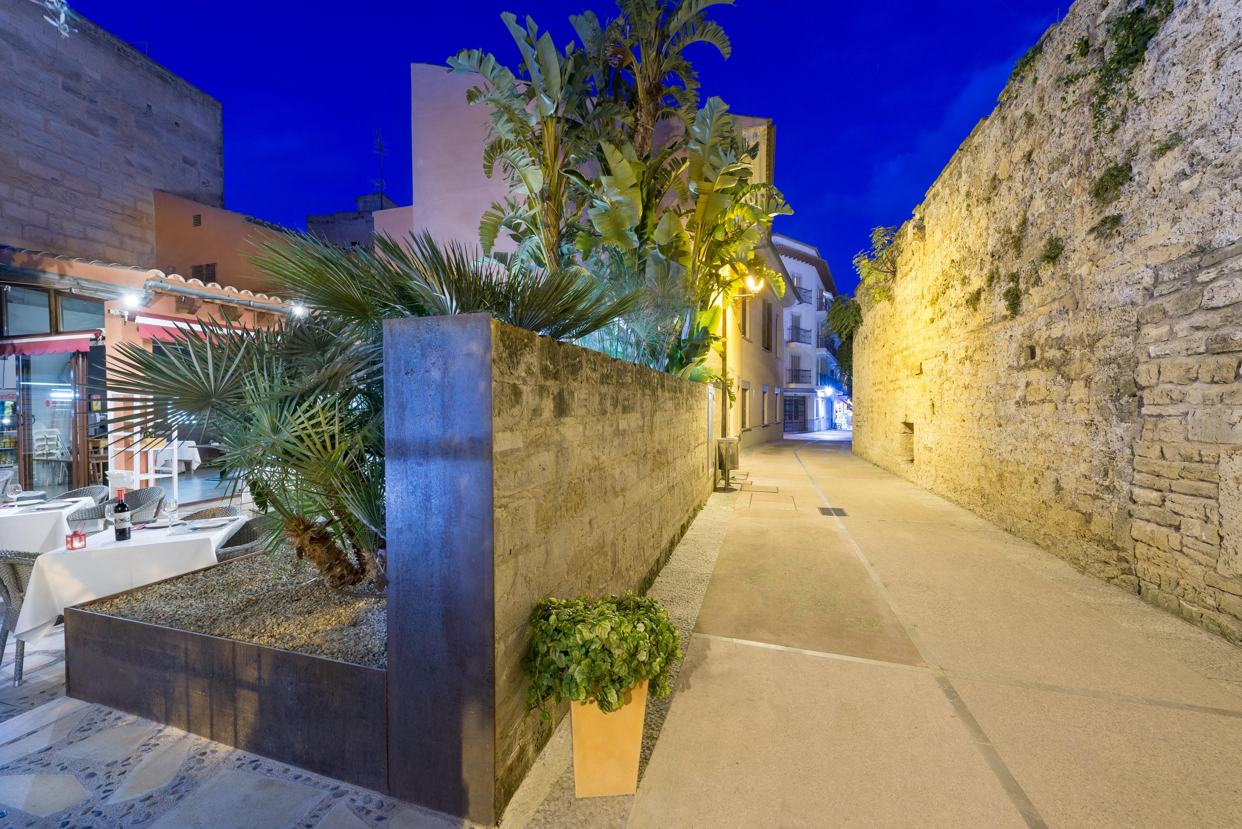 Petit - Turismo De Interior Alcudia (Mallorca)