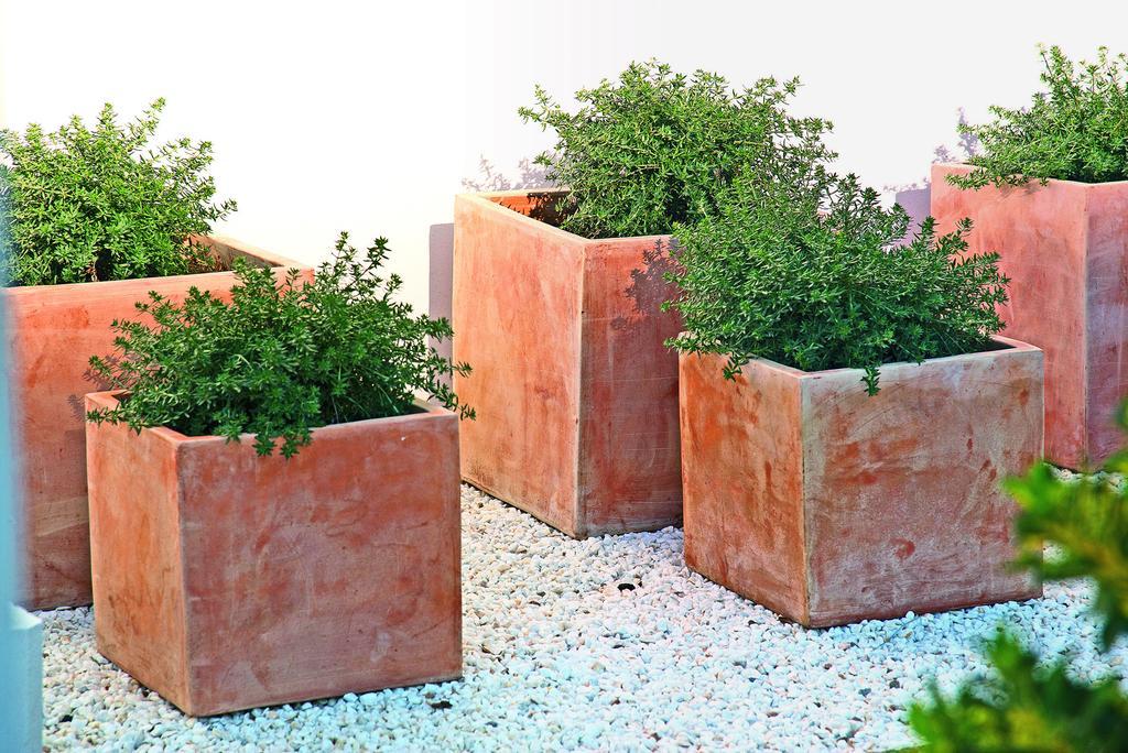 Apartamento Sivella *