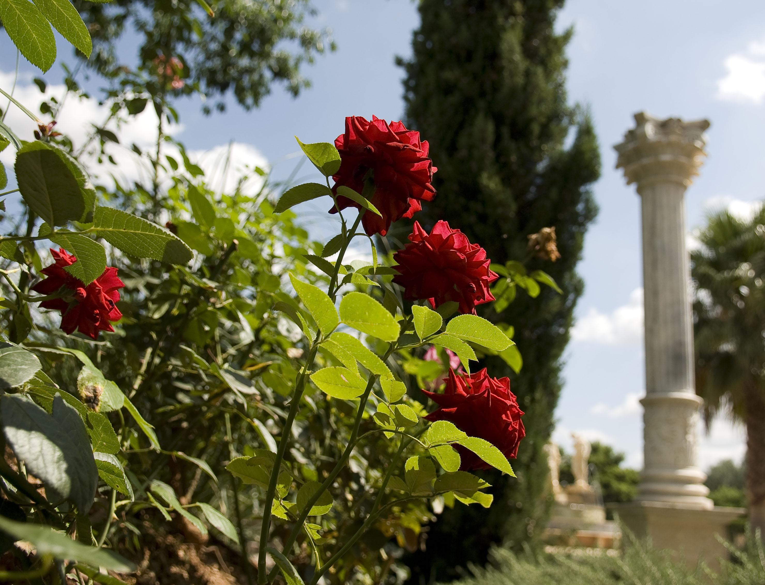 Agroturismo Es Revellar Art - Adults Only Campos (Mallorca)