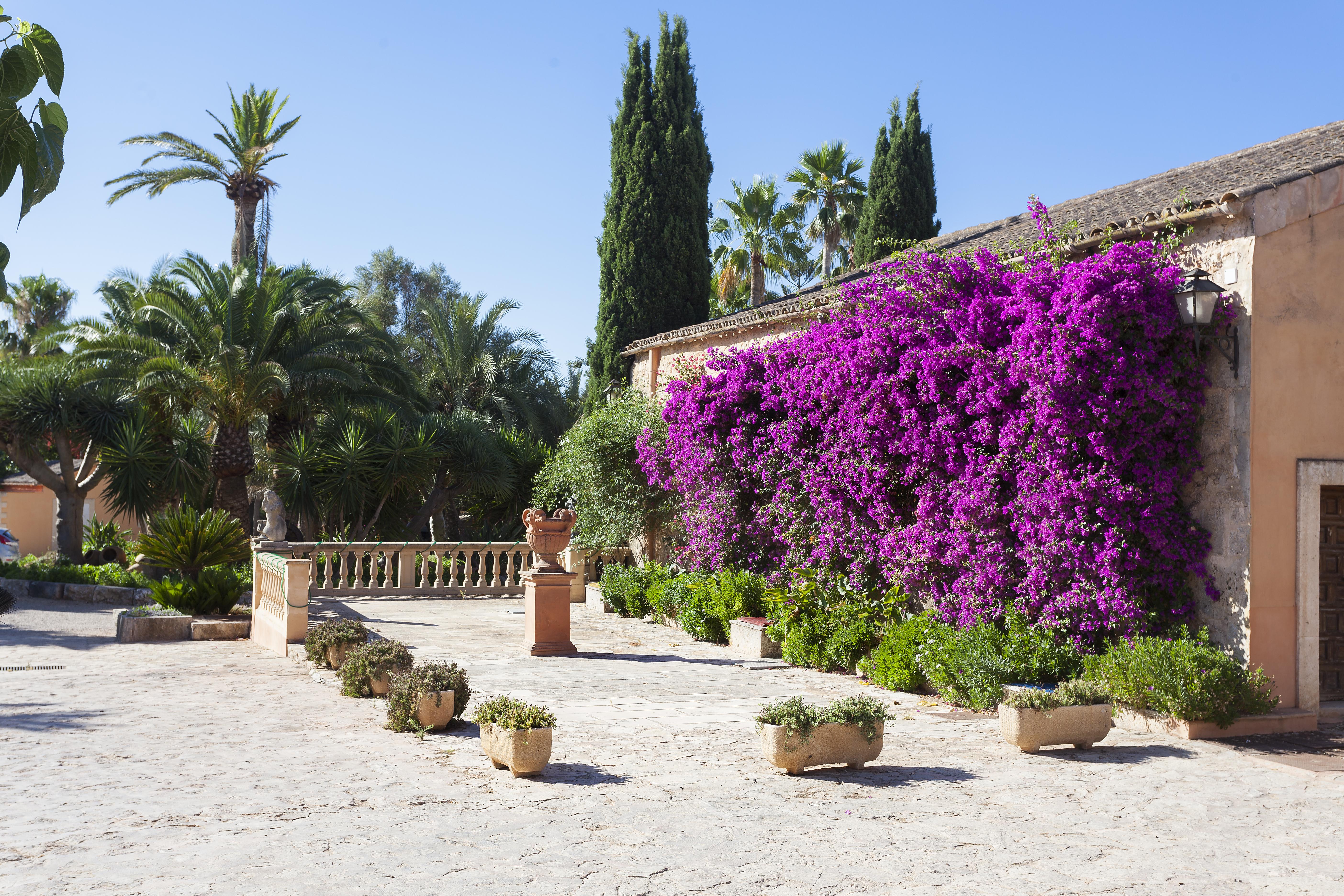 Es Revellar Art - Adults Only Campos (Mallorca)