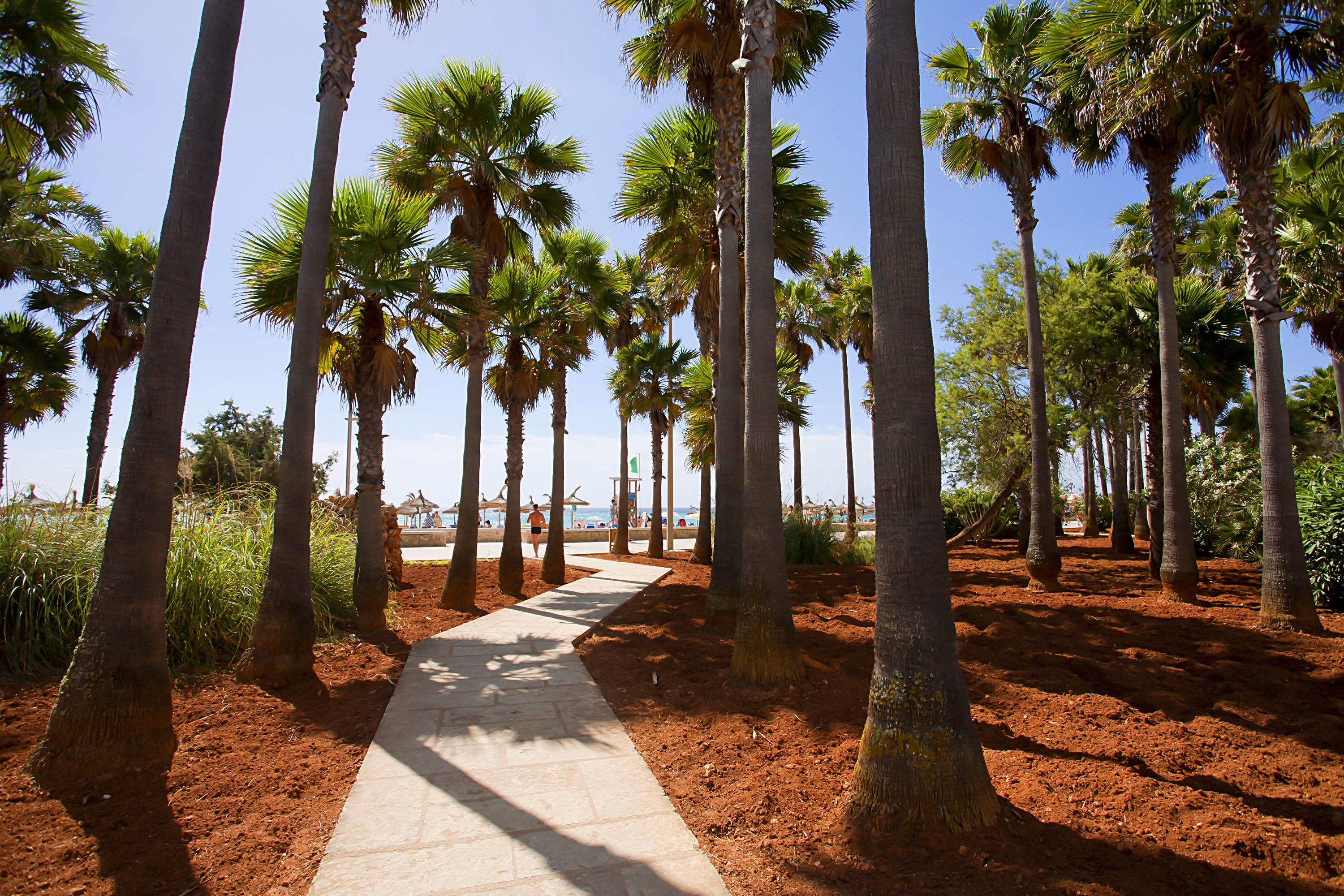 Hipotels Mediterraneo Club Resort Sa Coma (Mallorca)