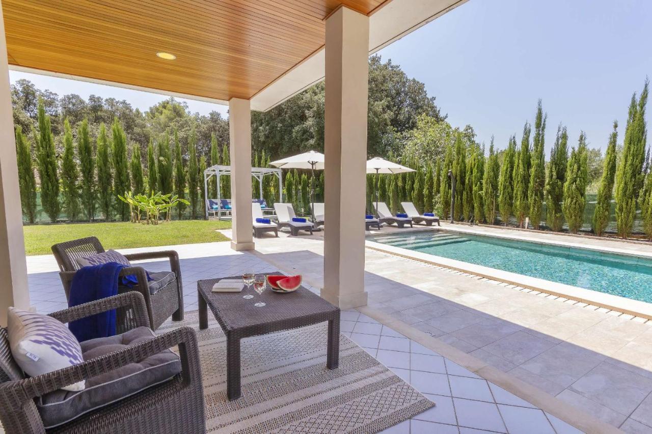 Sa Olivera Villa Pollensa