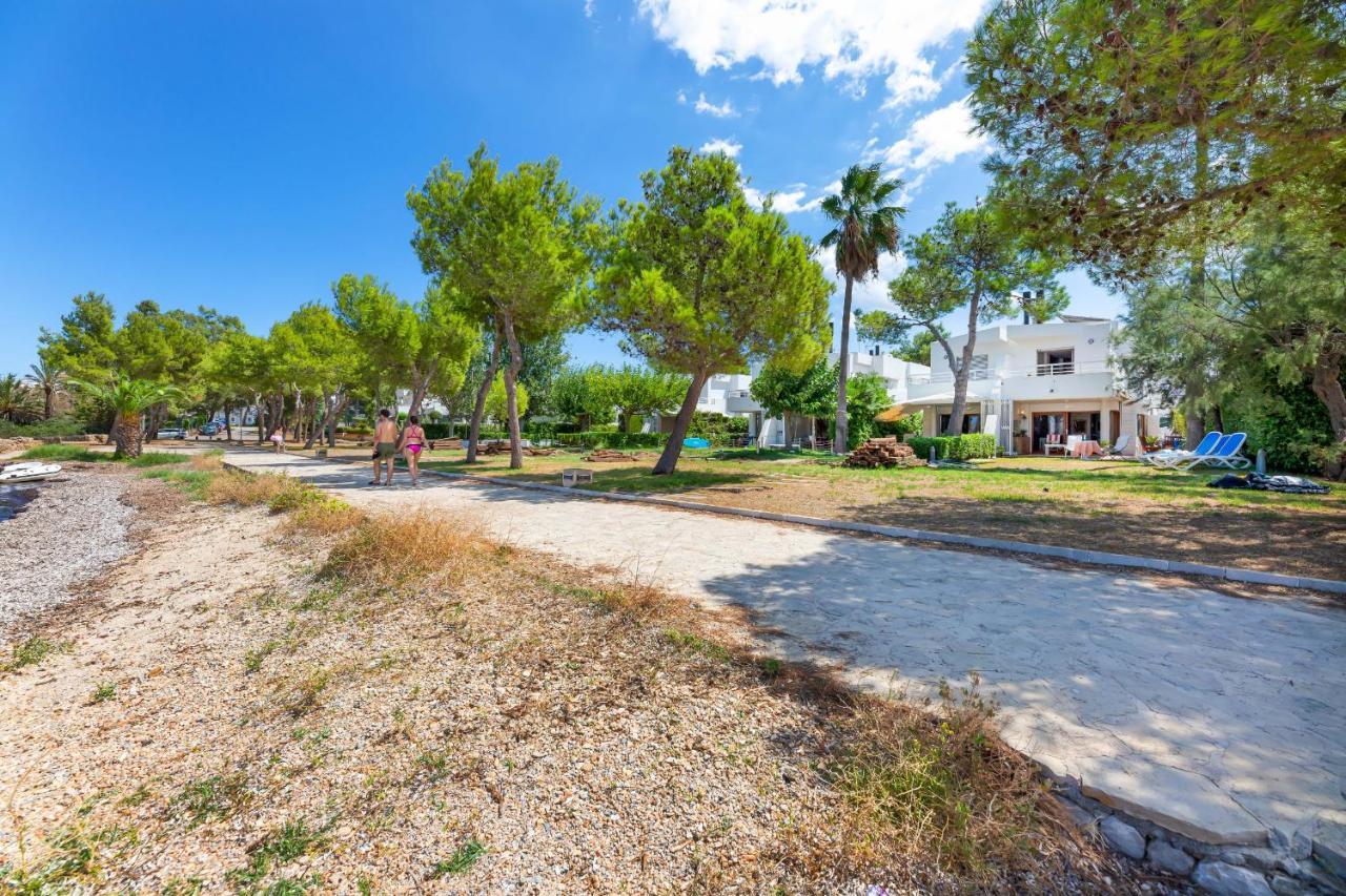 Camp De Mar Alcúdia