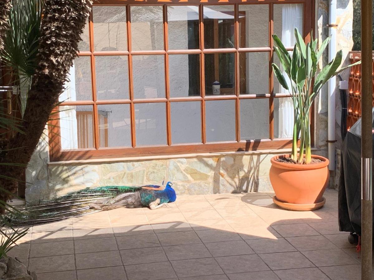 Casa Lisboa Holiday home