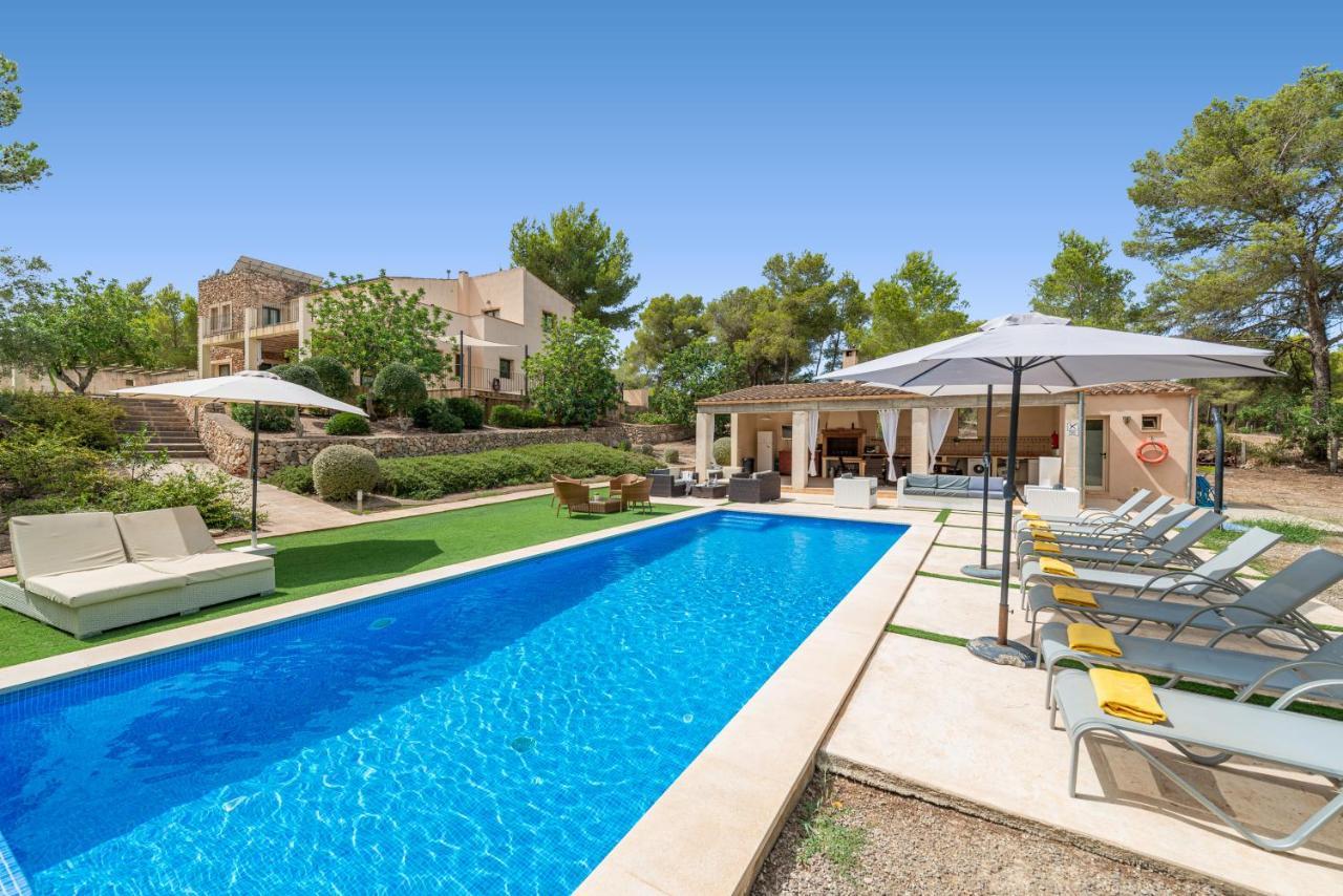 Villa De Lujo Entre Pinos