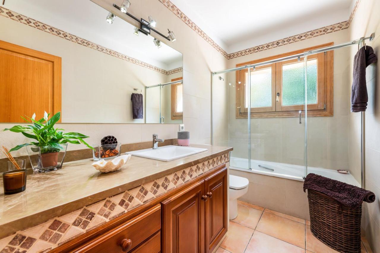 Mirlo Villa Marratxi