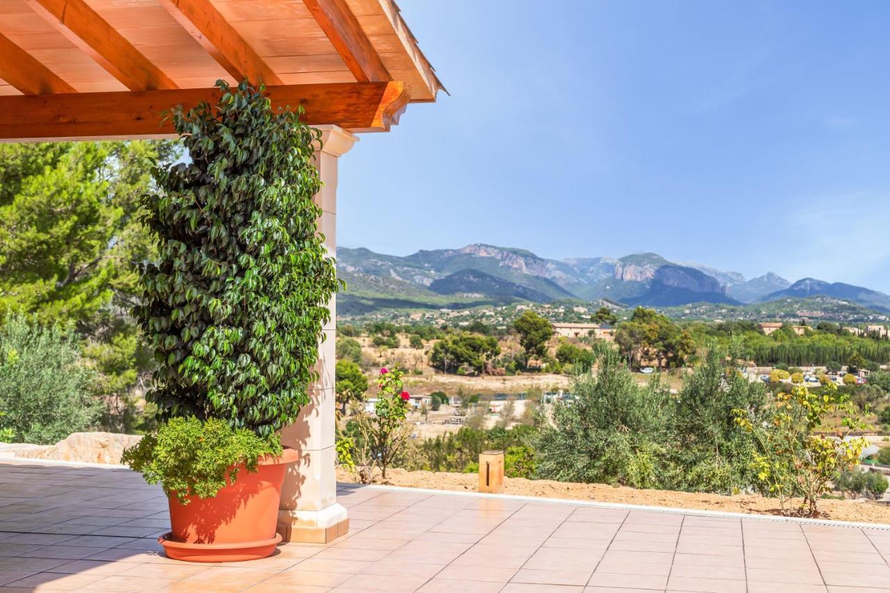 Mirlo Villa Marratxi