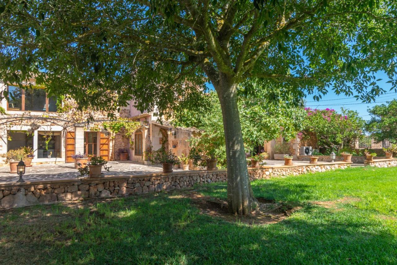 Villa Son Arboc Gran