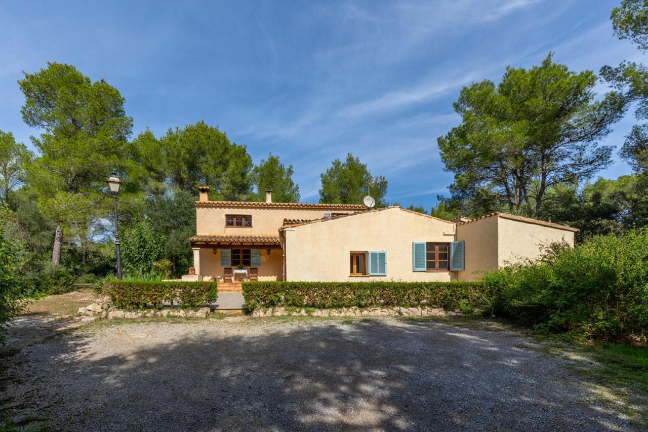 Mireia Villa
