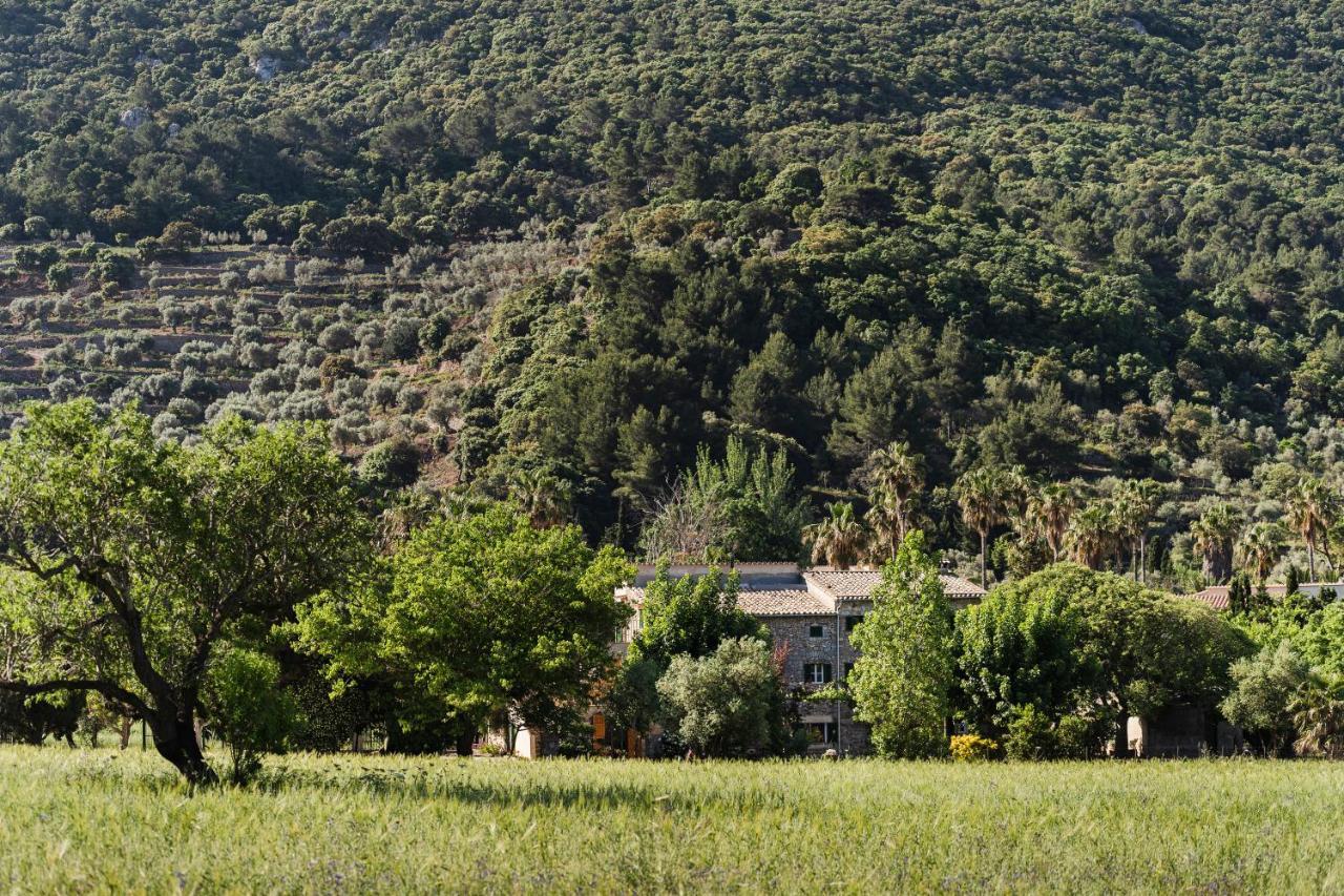 Sa Sinia En El Corazon De La Tramuntana Villa Valldemossa (Mallorca)