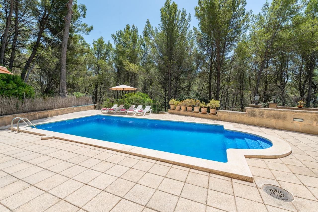 Villa New! Alemany Riera In Andratx, Mallorca