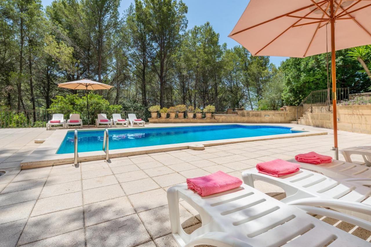 New! Alemany Riera In Andratx, Mallorca *