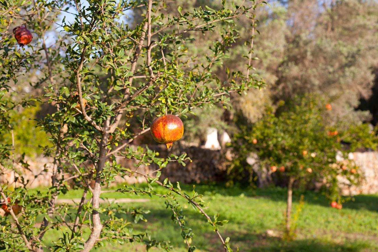 Agroturismo Ca'n Gaia Portocolom (Mallorca)