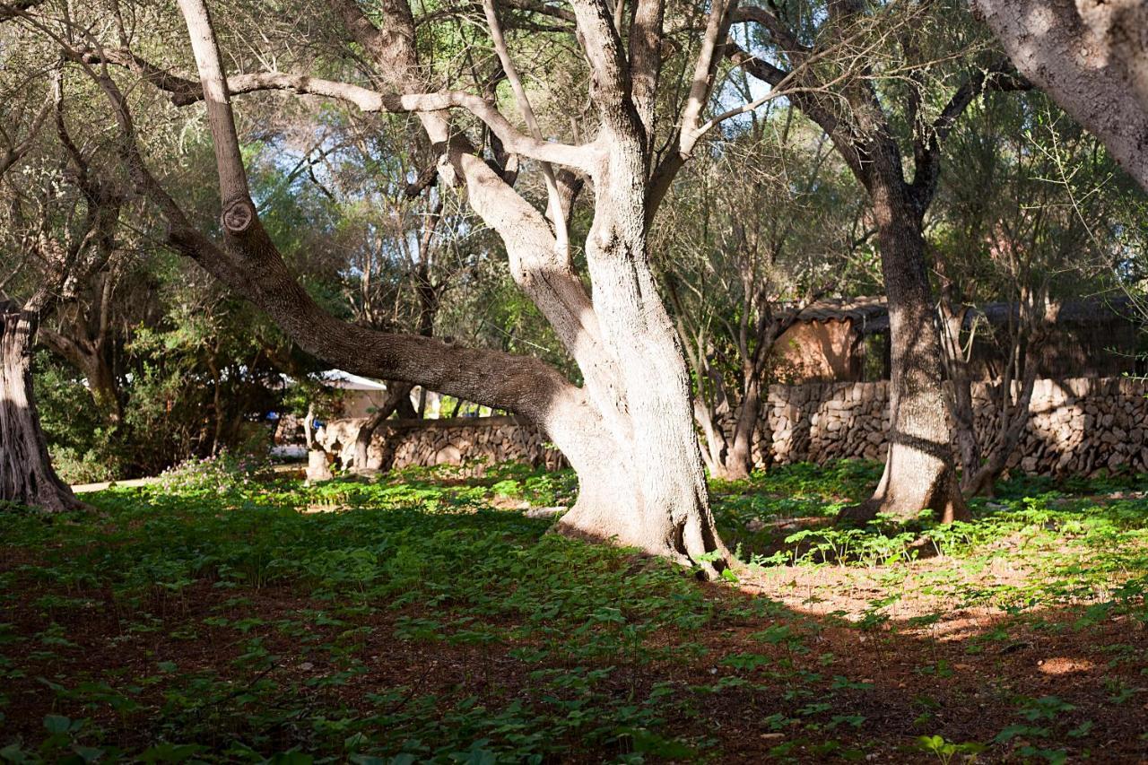 Ca'n Gaia Agroturismo