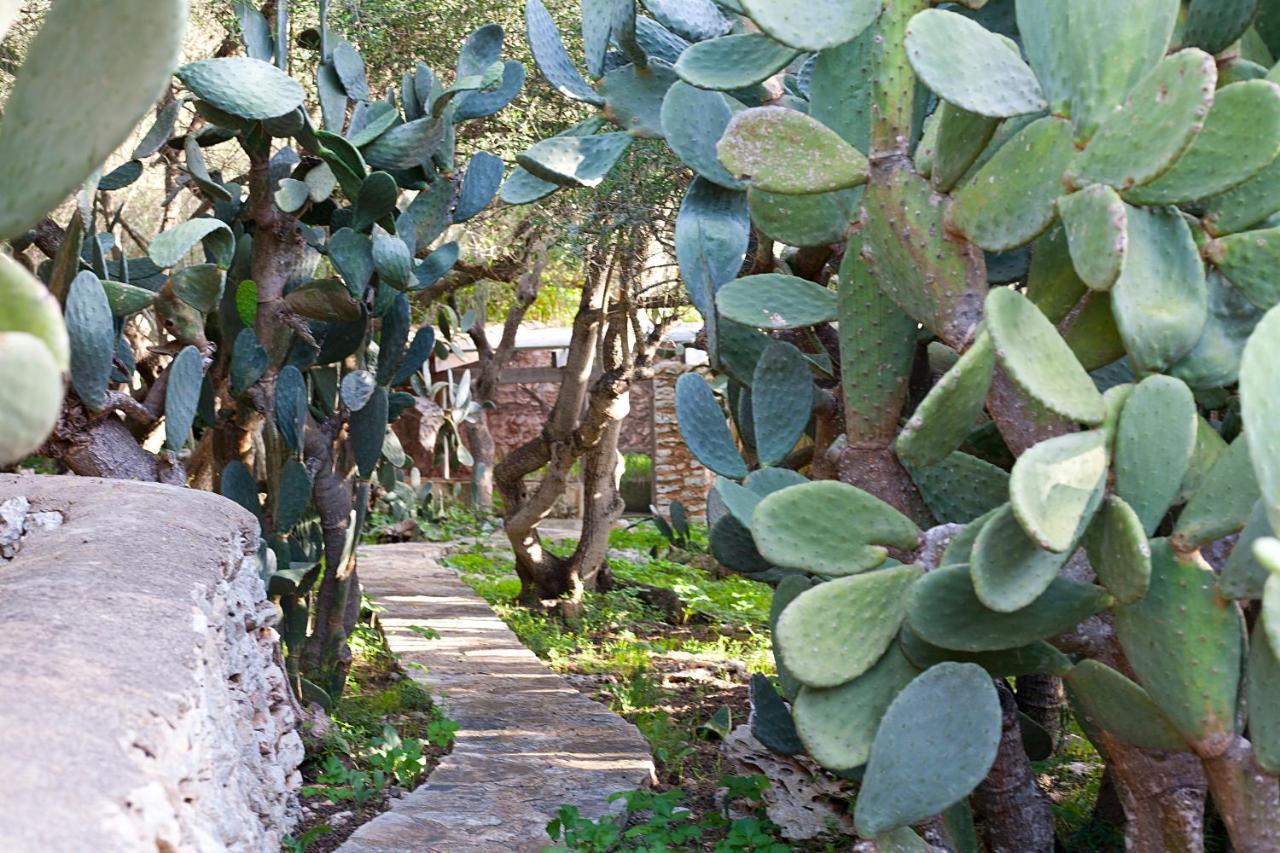 Ca'n Gaia Agroturismo