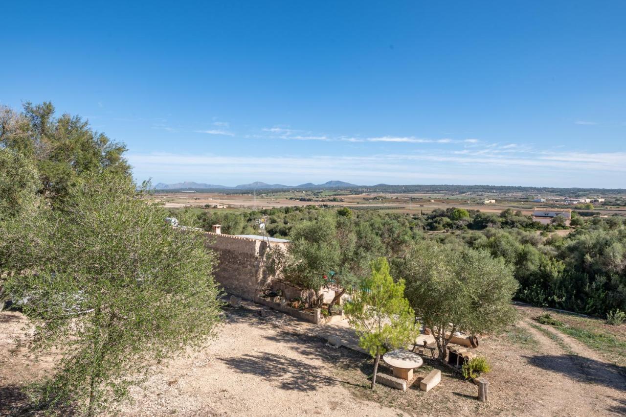 Villa Son Pusseta Petra (Mallorca)