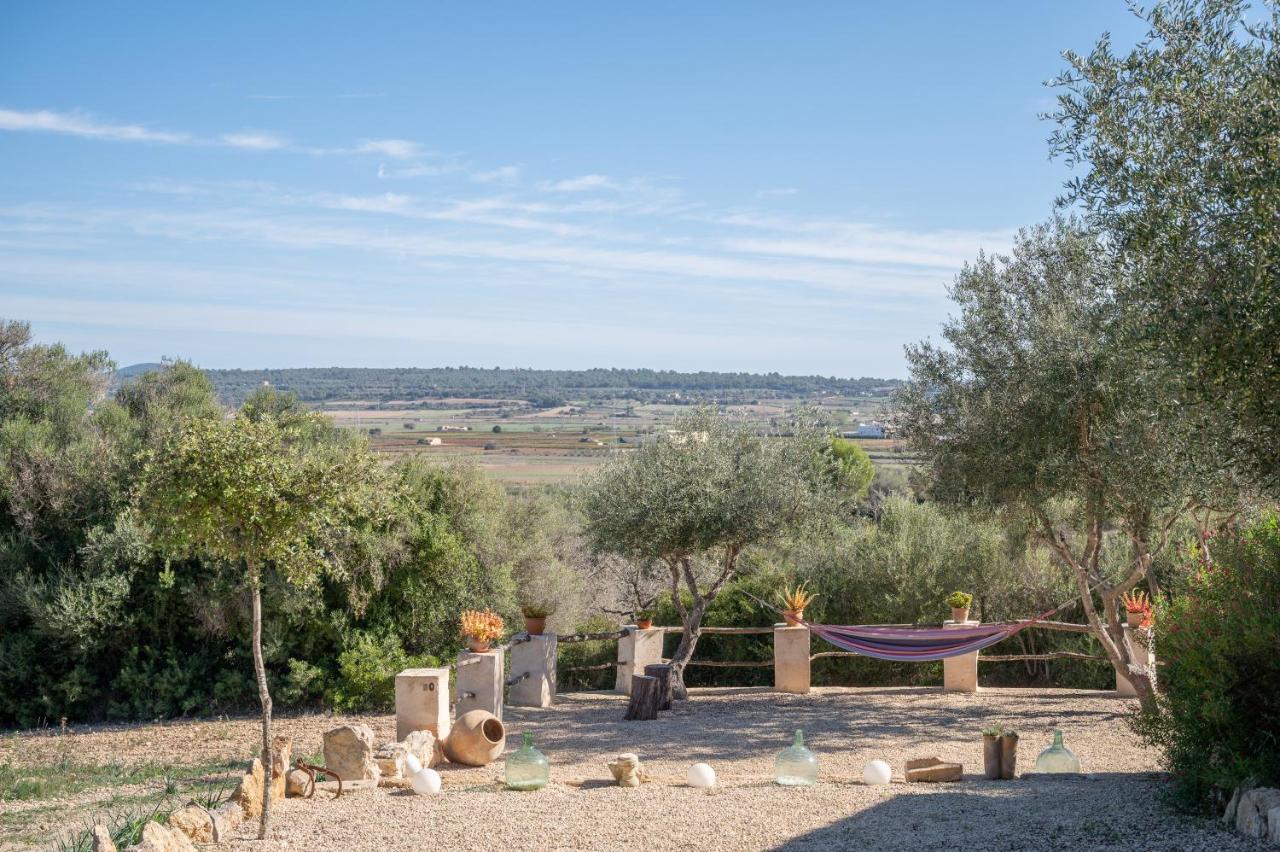 Son Pusseta Petra (Mallorca)
