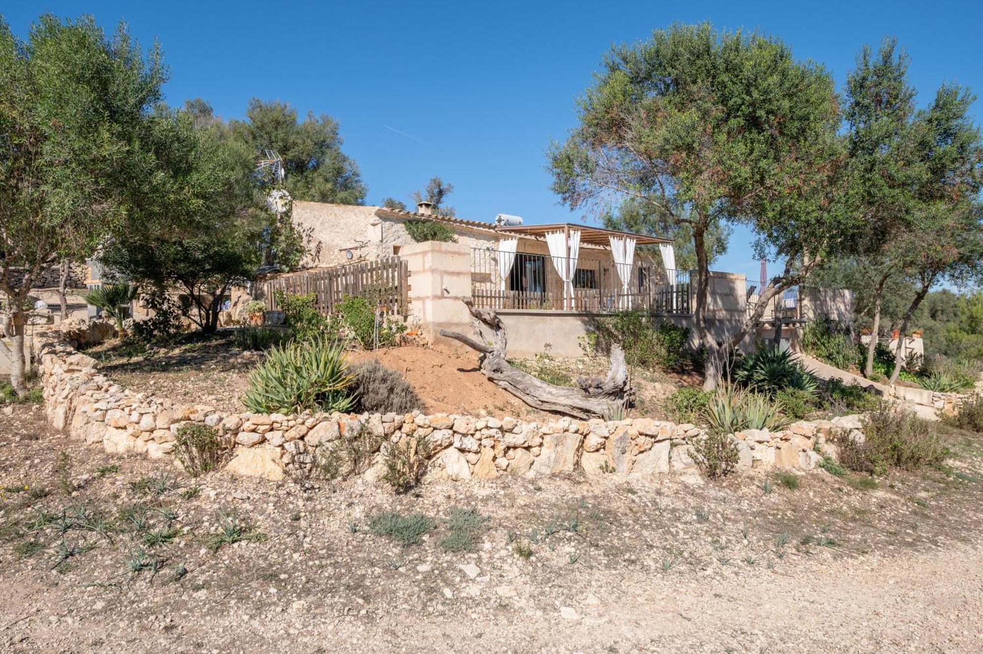 Son Pusseta Petra (Mallorca)