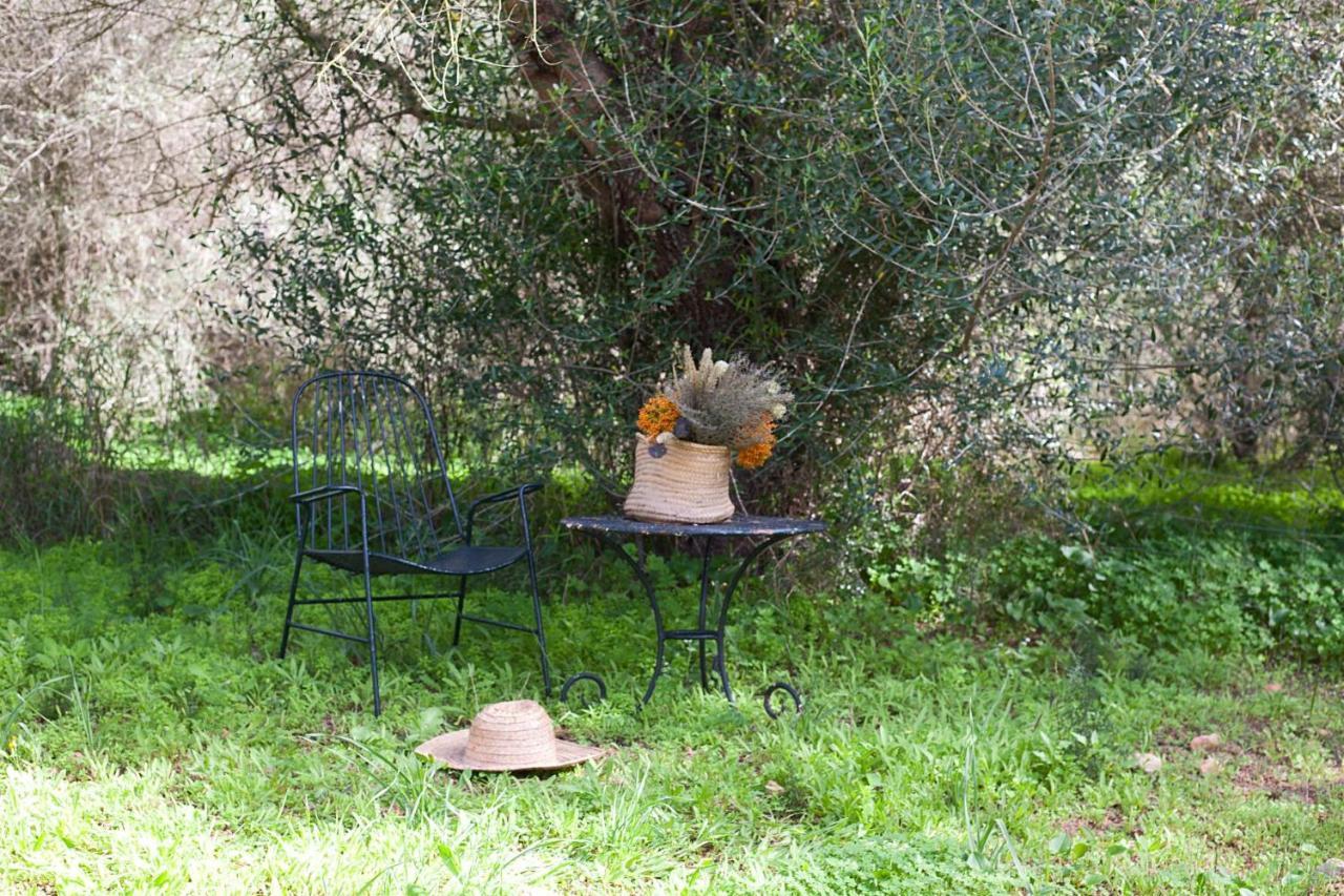 Agroturismo Son Sureda *