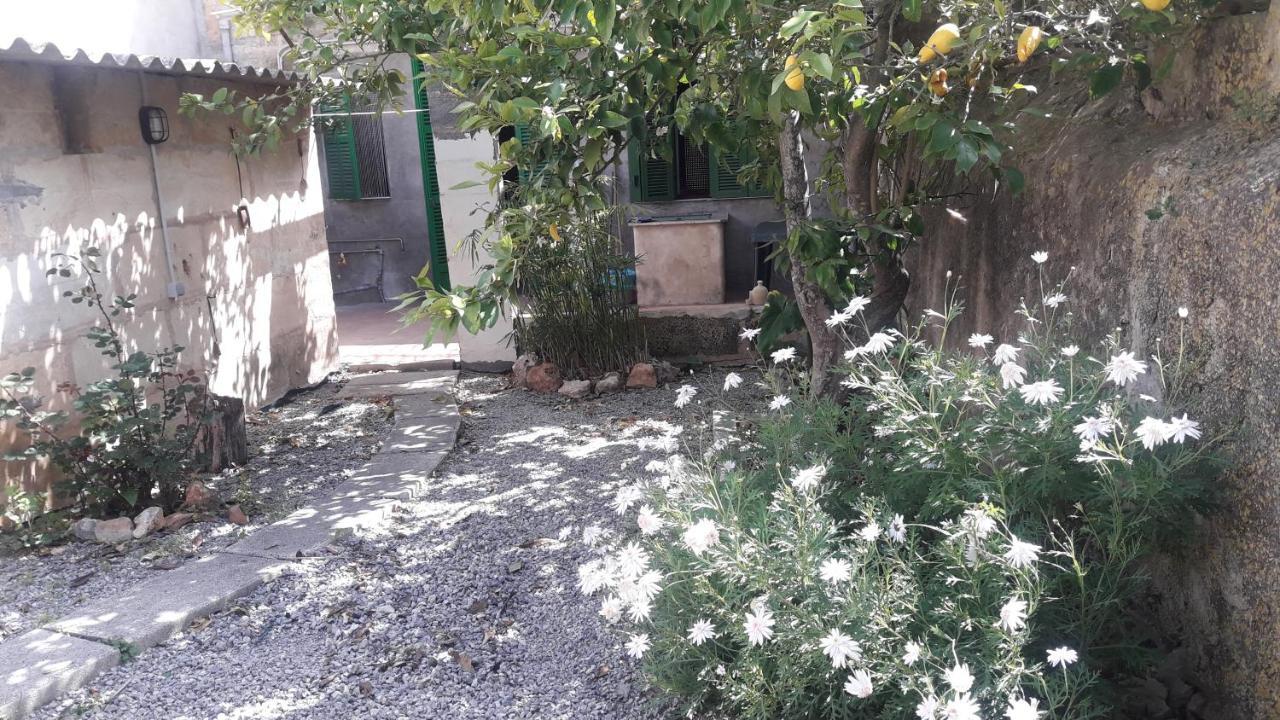 Casa De Pueblo En Vilafranca Holiday home Vilafranca De Bonany