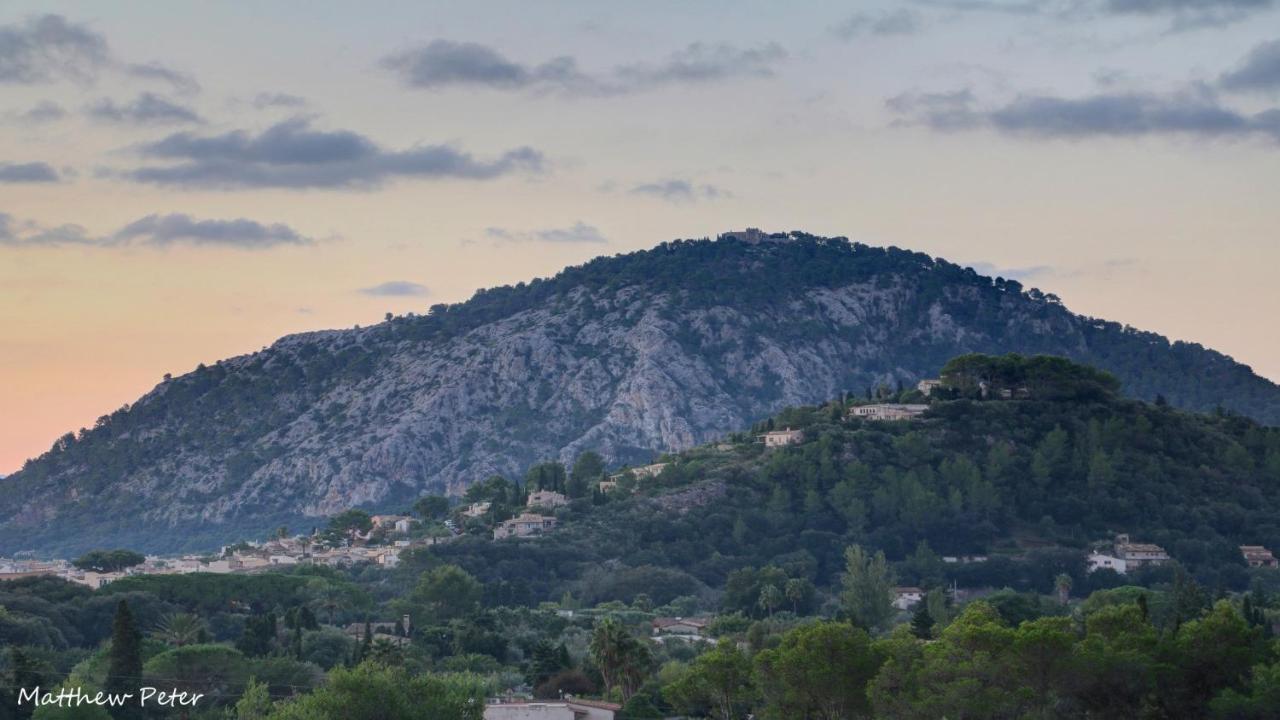 Segui * Pollensa