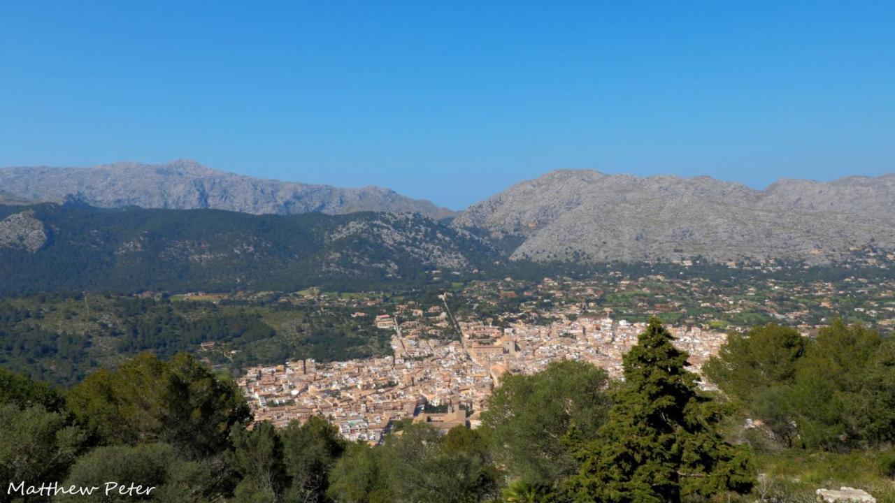Segui * Pollensa