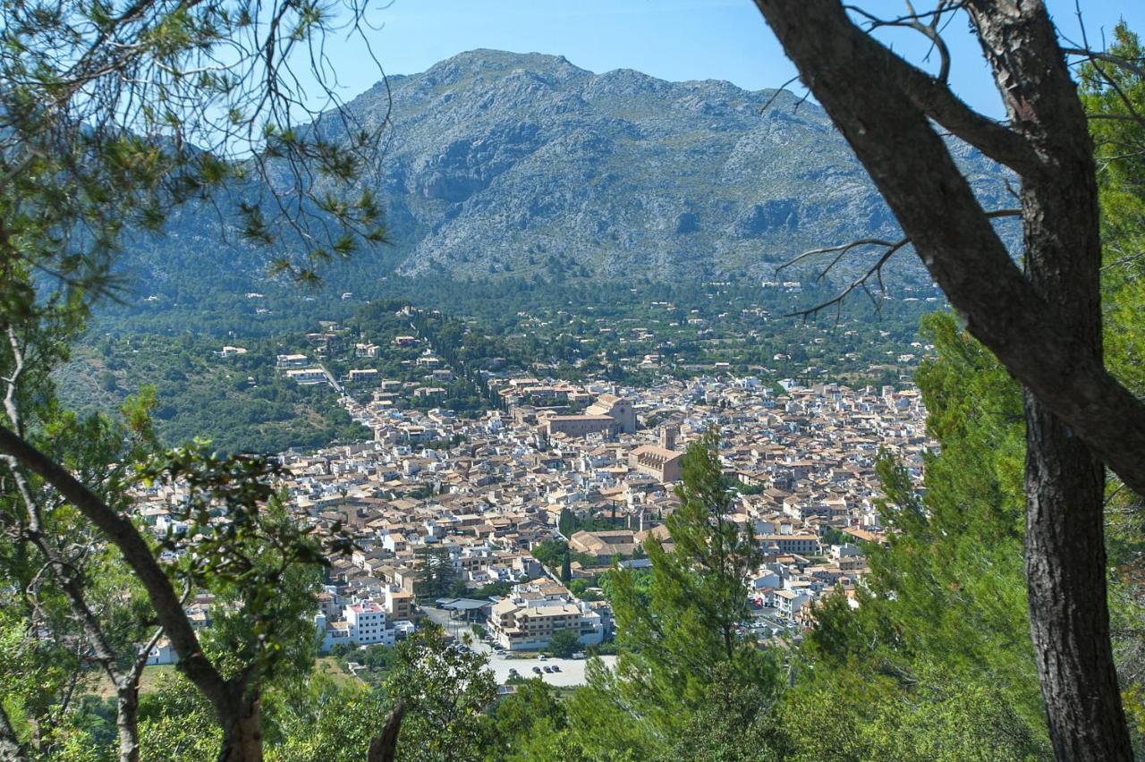 Owl Gorreta - 5 Min Walk To The Old Town Villa