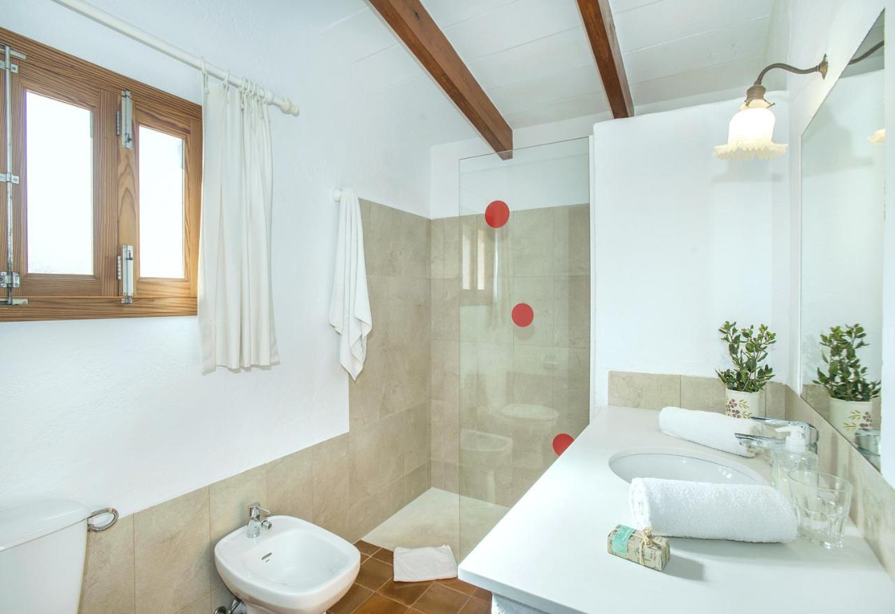 Owl Gorreta - 5 Min Walk To The Old Town Villa