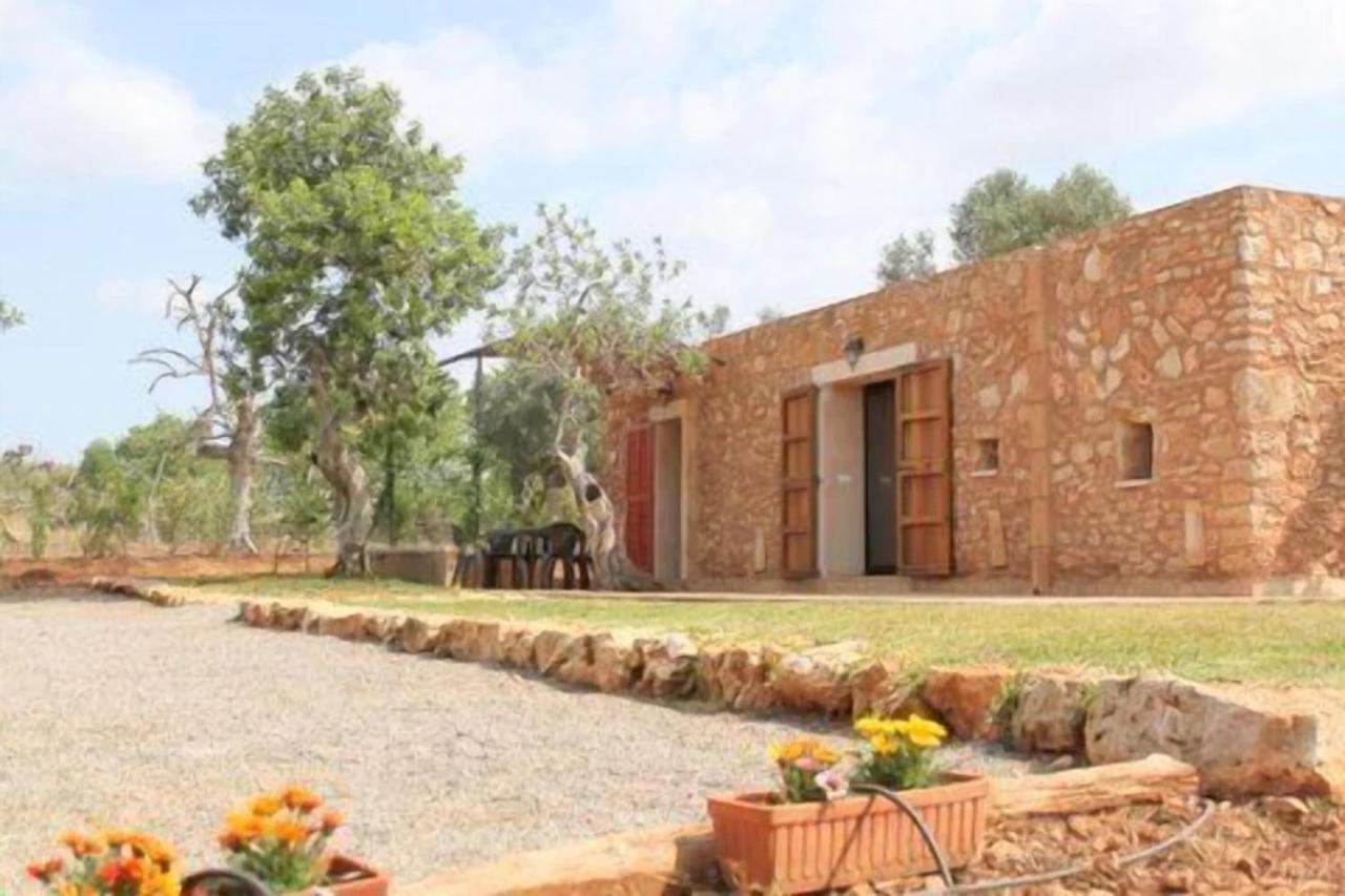 Andres Villa Santanyí