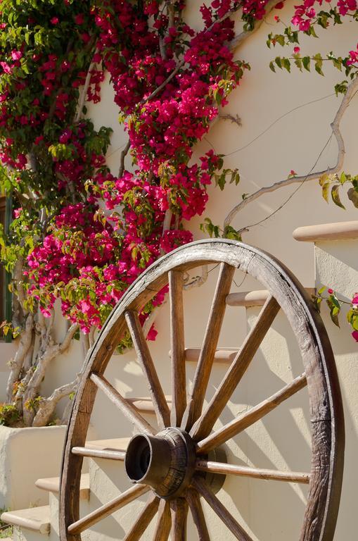 Agroturismo S' Horta