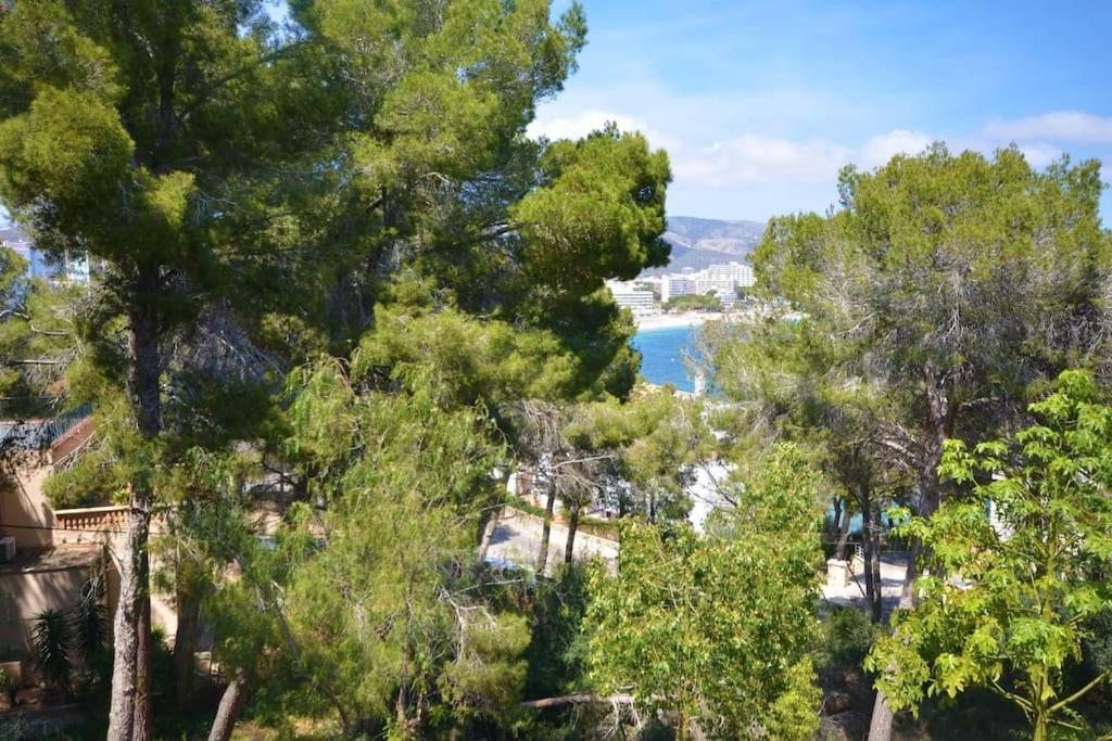 Imperium By Villasmediterranean Cala Vinas (Mallorca)