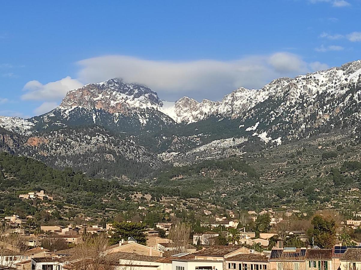 Nadal Sóller